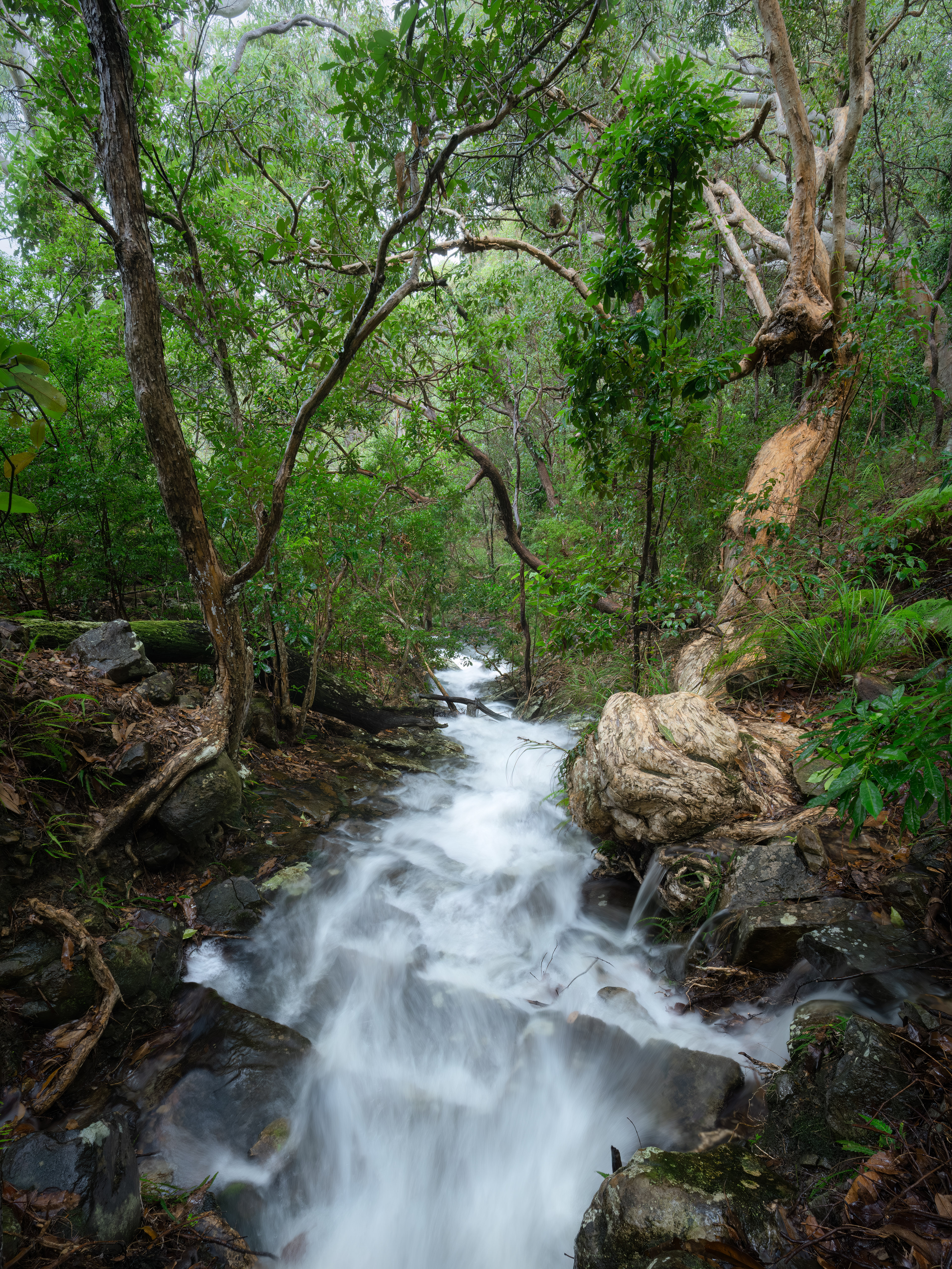 Mount Coolum Waterfalls 05