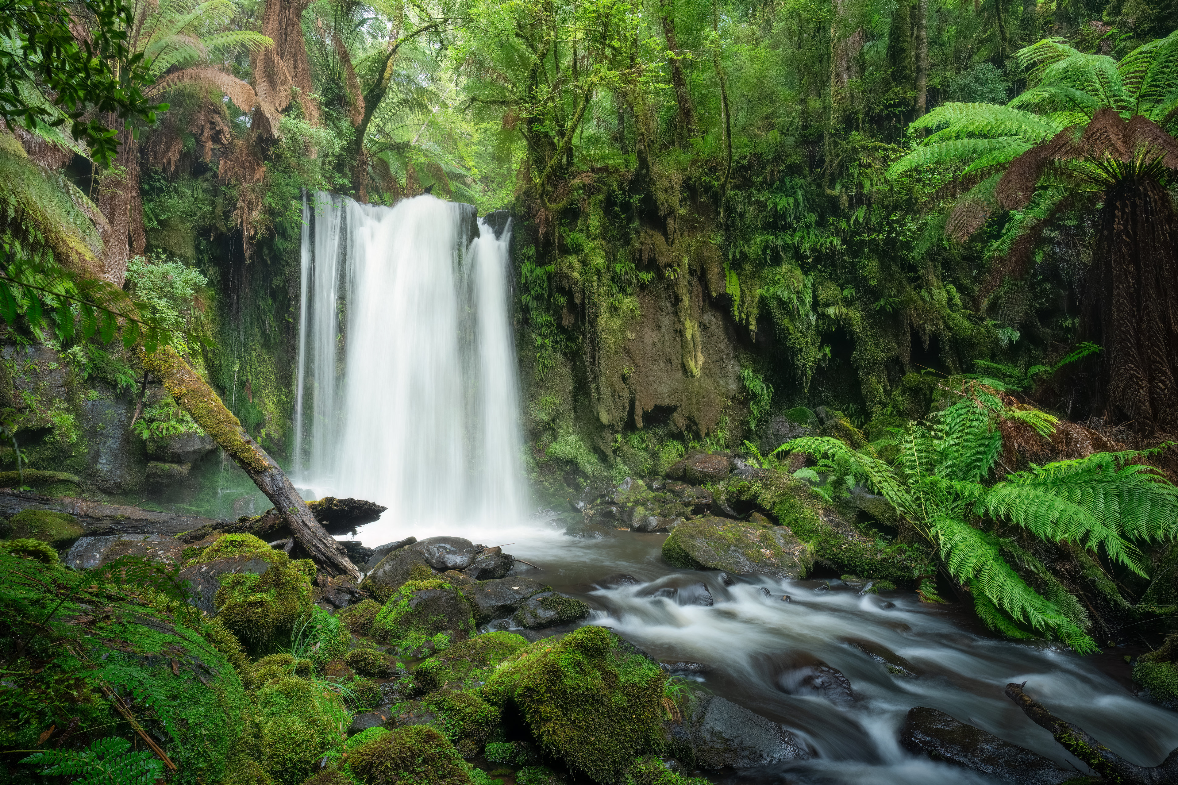 Tarkine Waterfall 06 (2:3)
