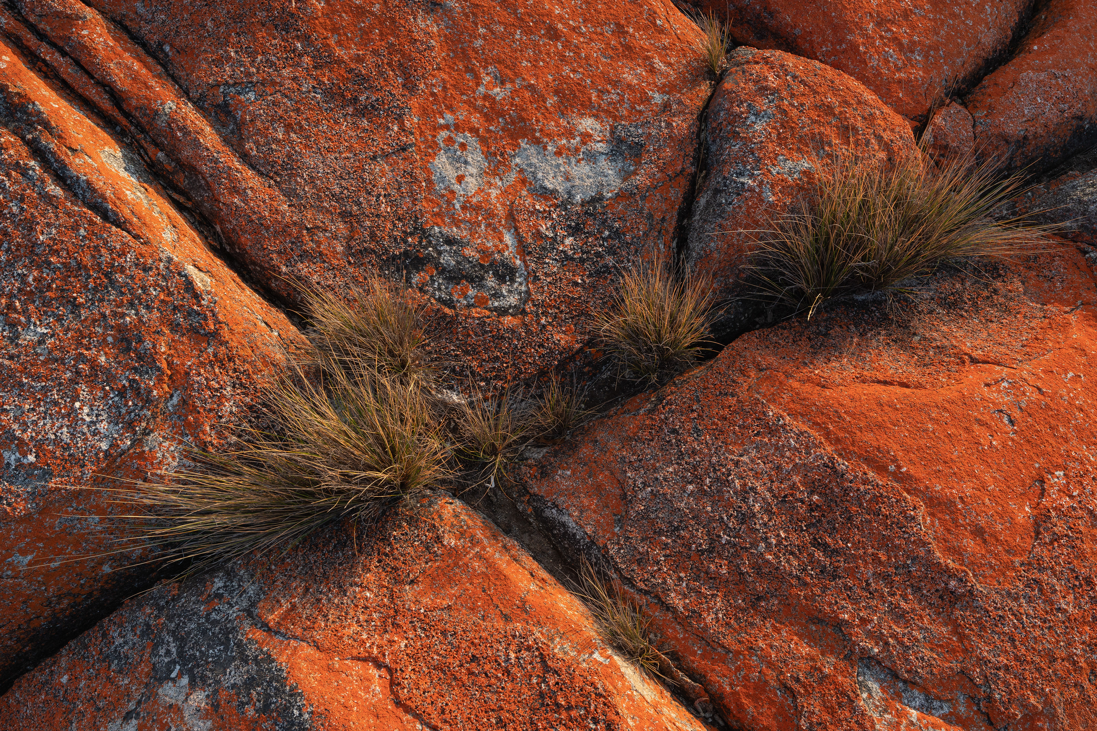 Bay Of Fires