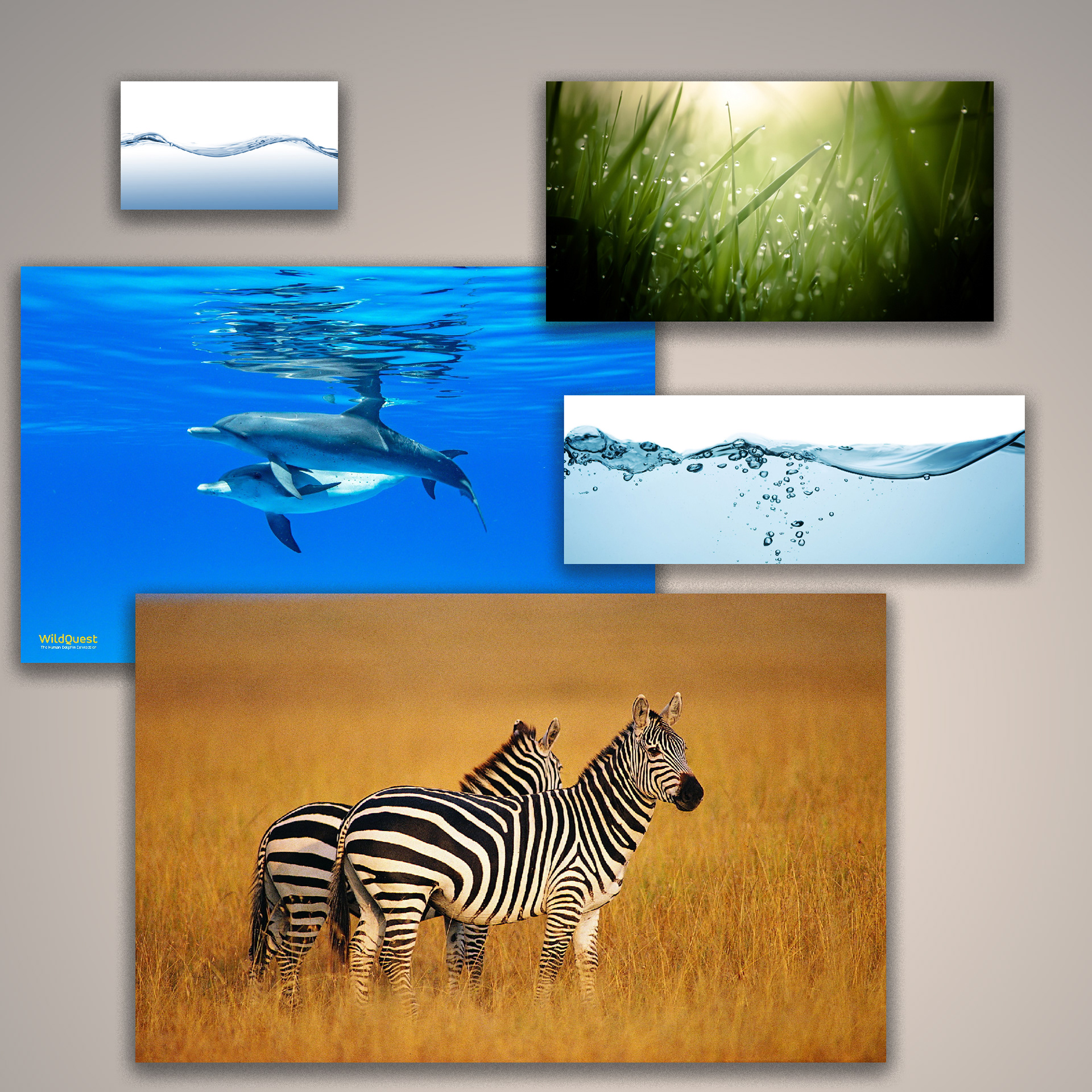 Used images