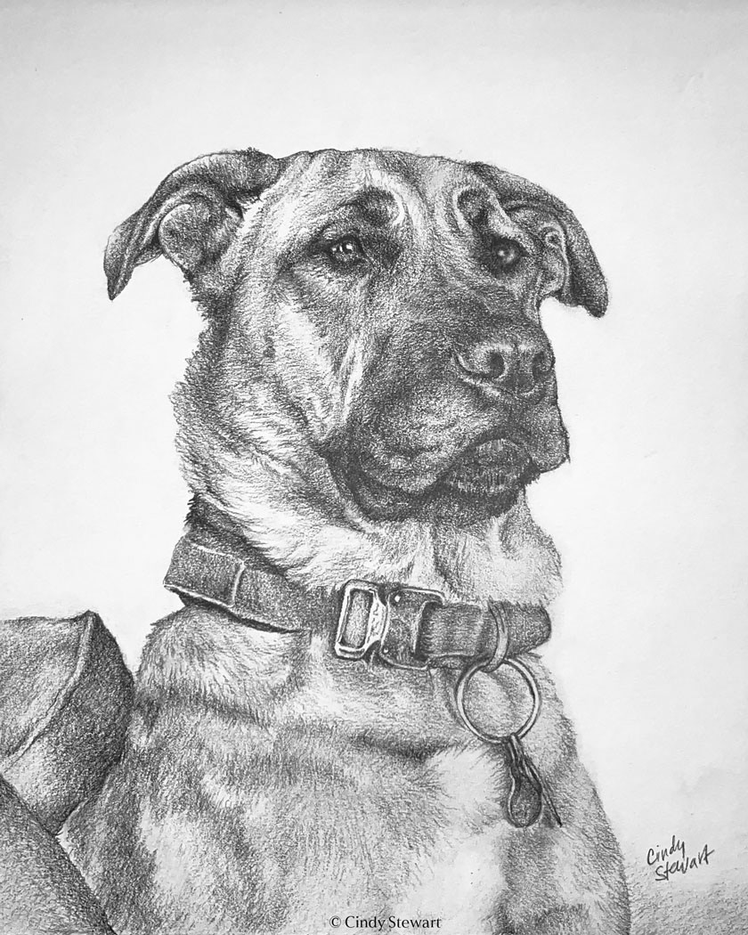 Hank