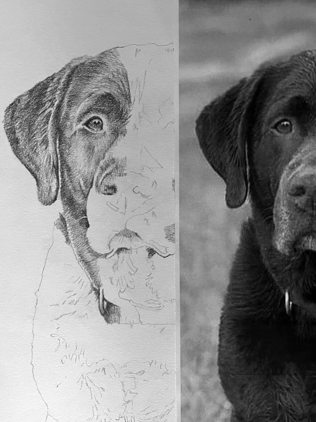 Barrington In Process