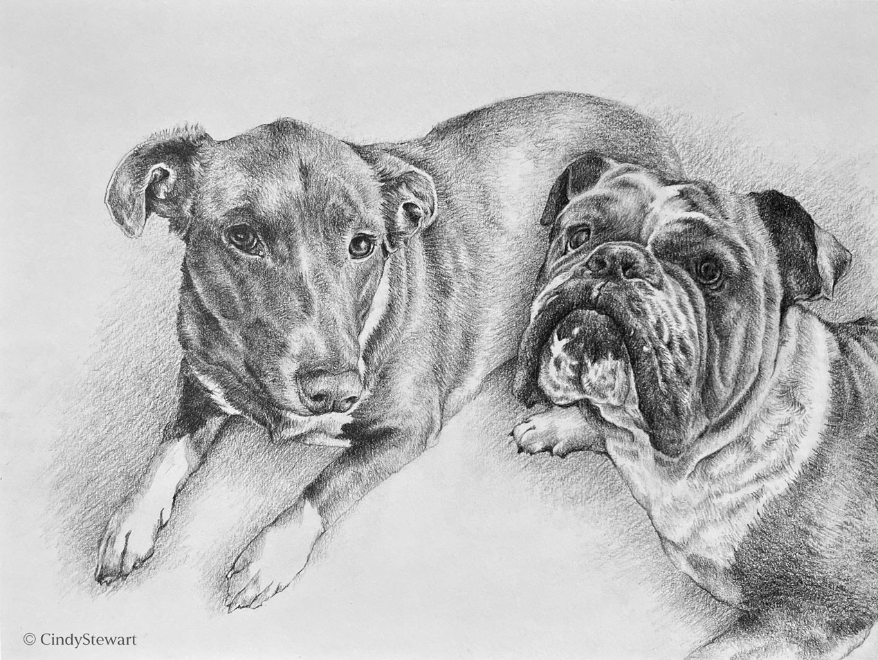 Archie & Chico