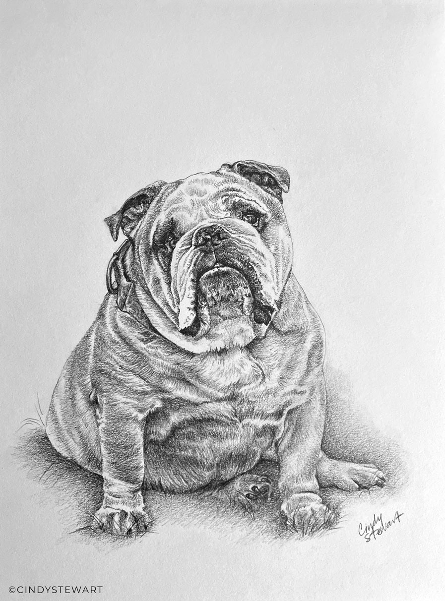 Rudy, A Memorial Keepsake