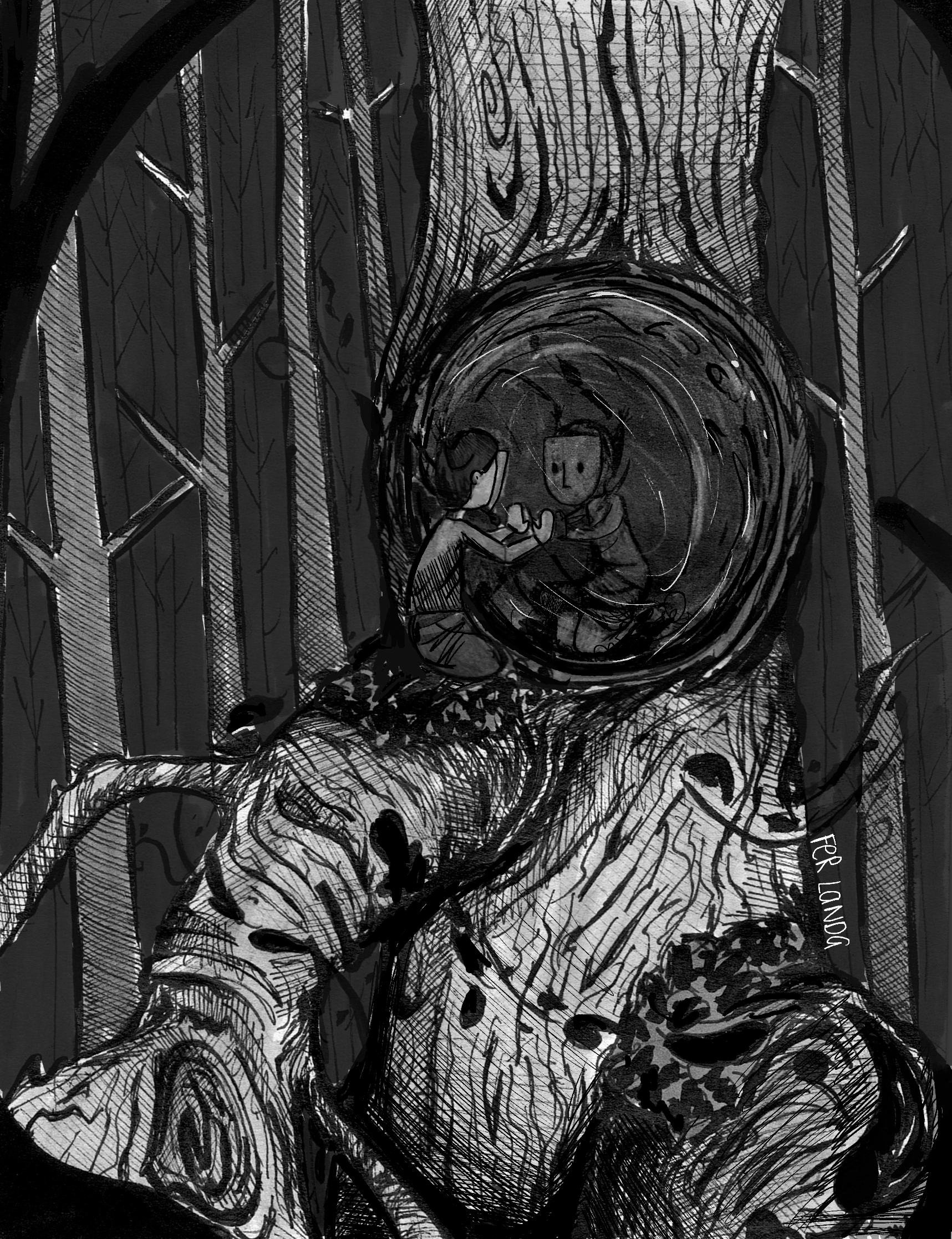 THE MIRROR