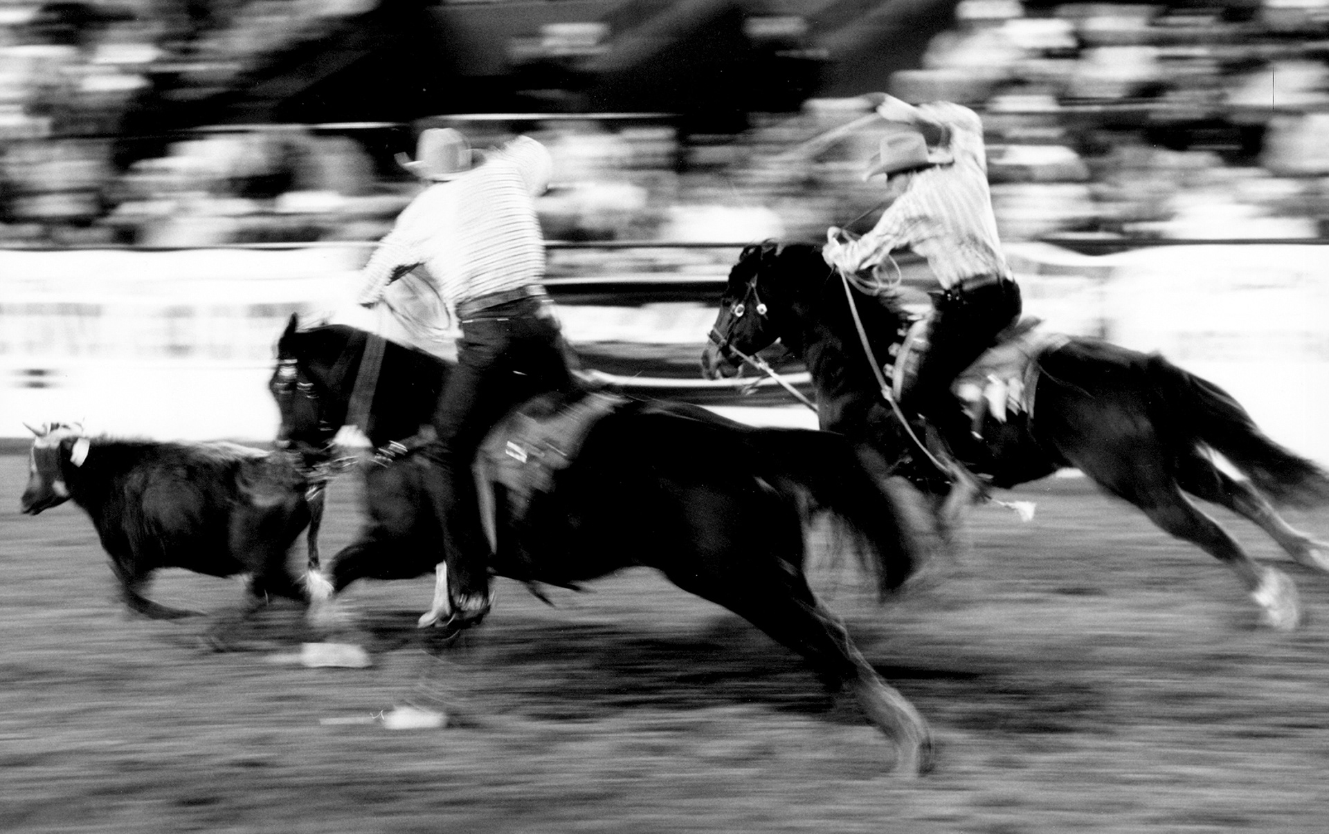 RODEO - EL PASO, TEXAS 2003