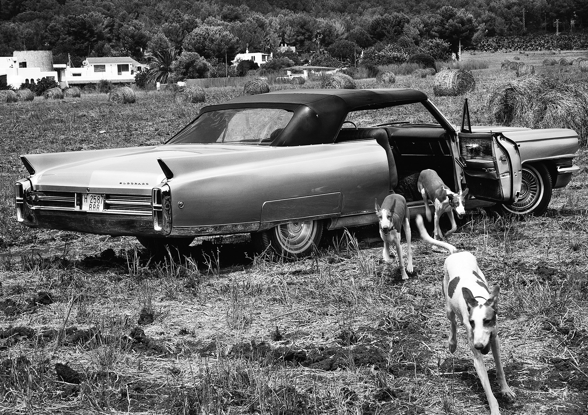 "GUESS - THE HUNTING" - EDITORIAL FOR BMI:MAG - 2012