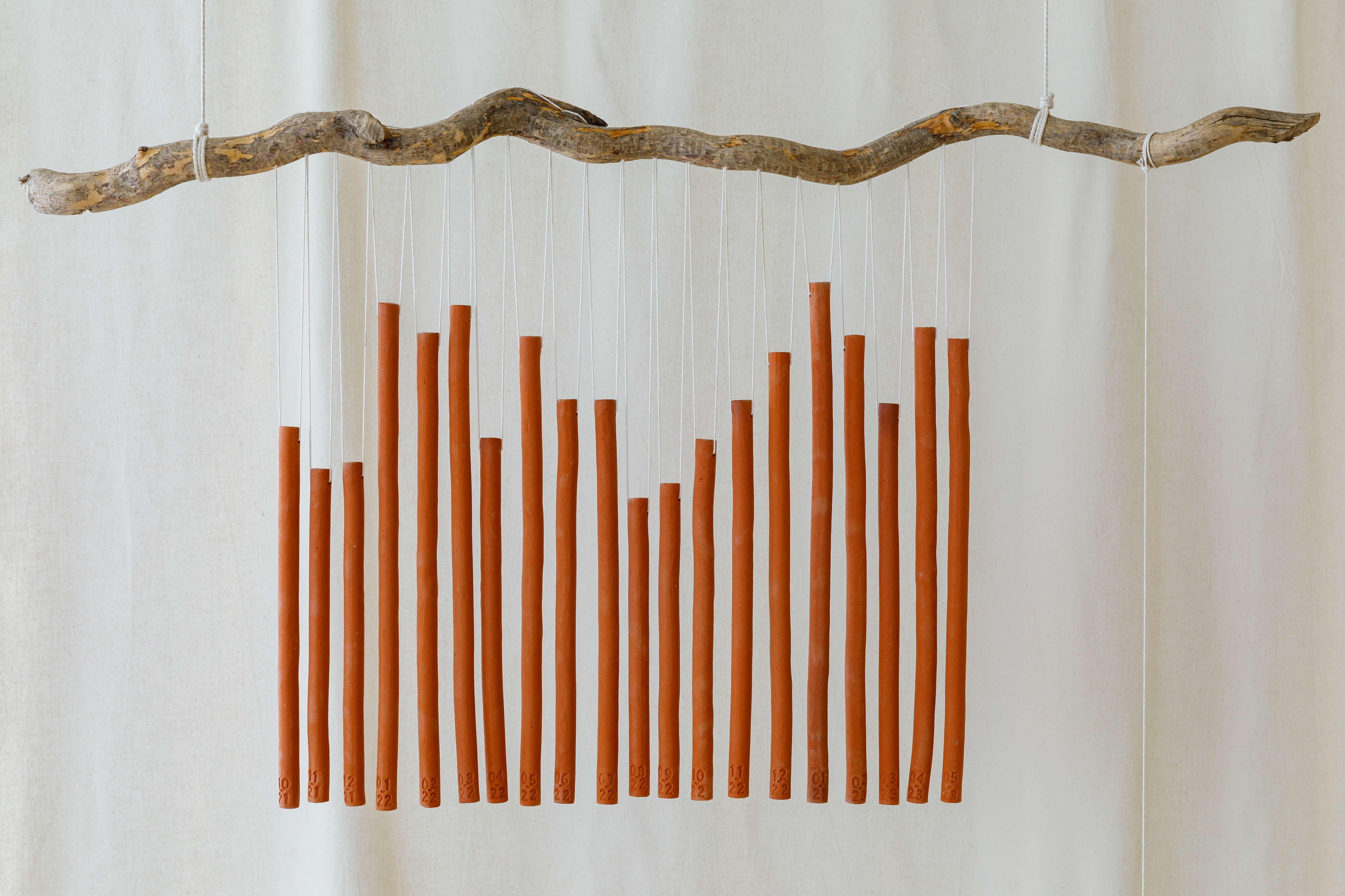 Photo by Django van Ardenne