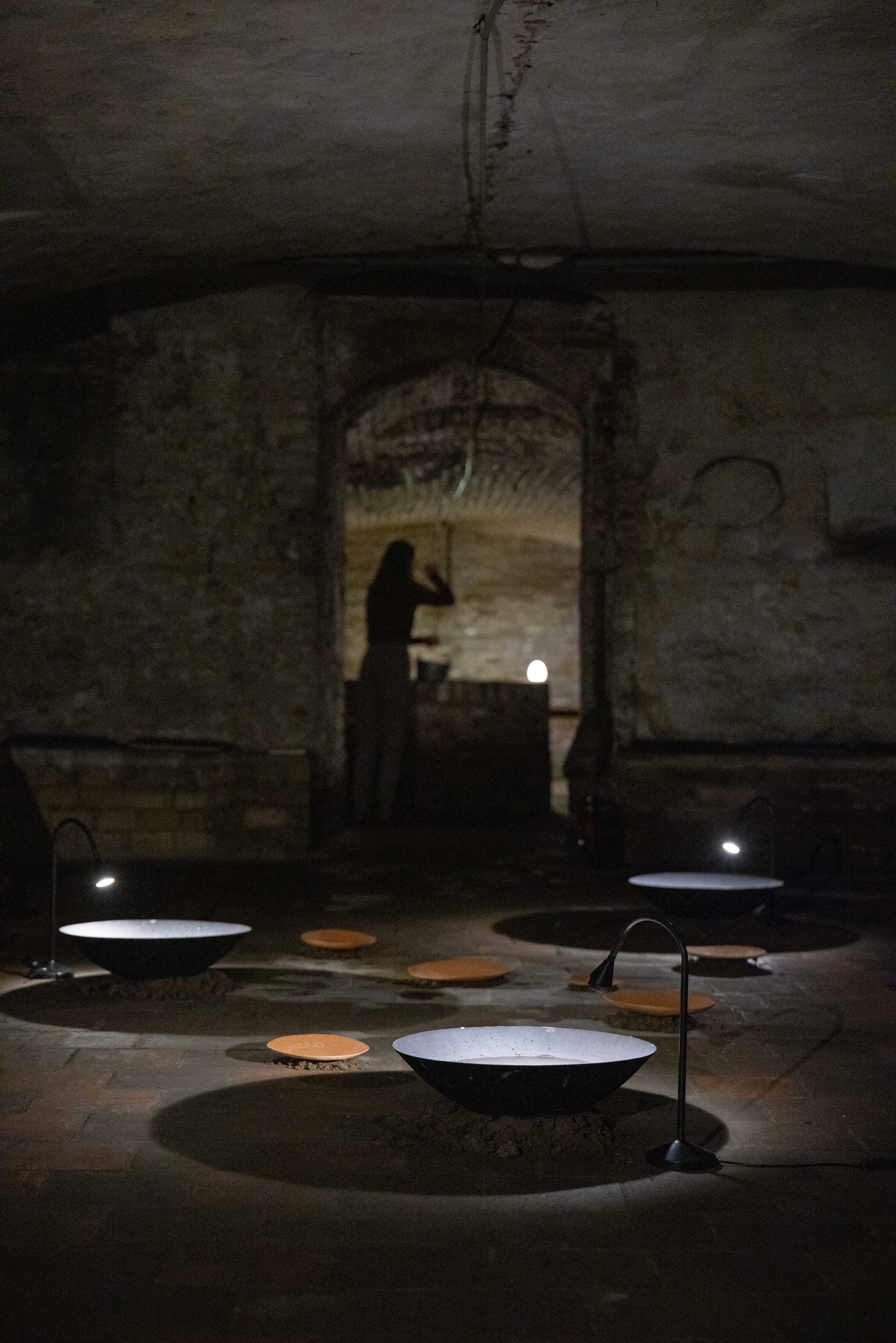 Photo by Viorica Cernica