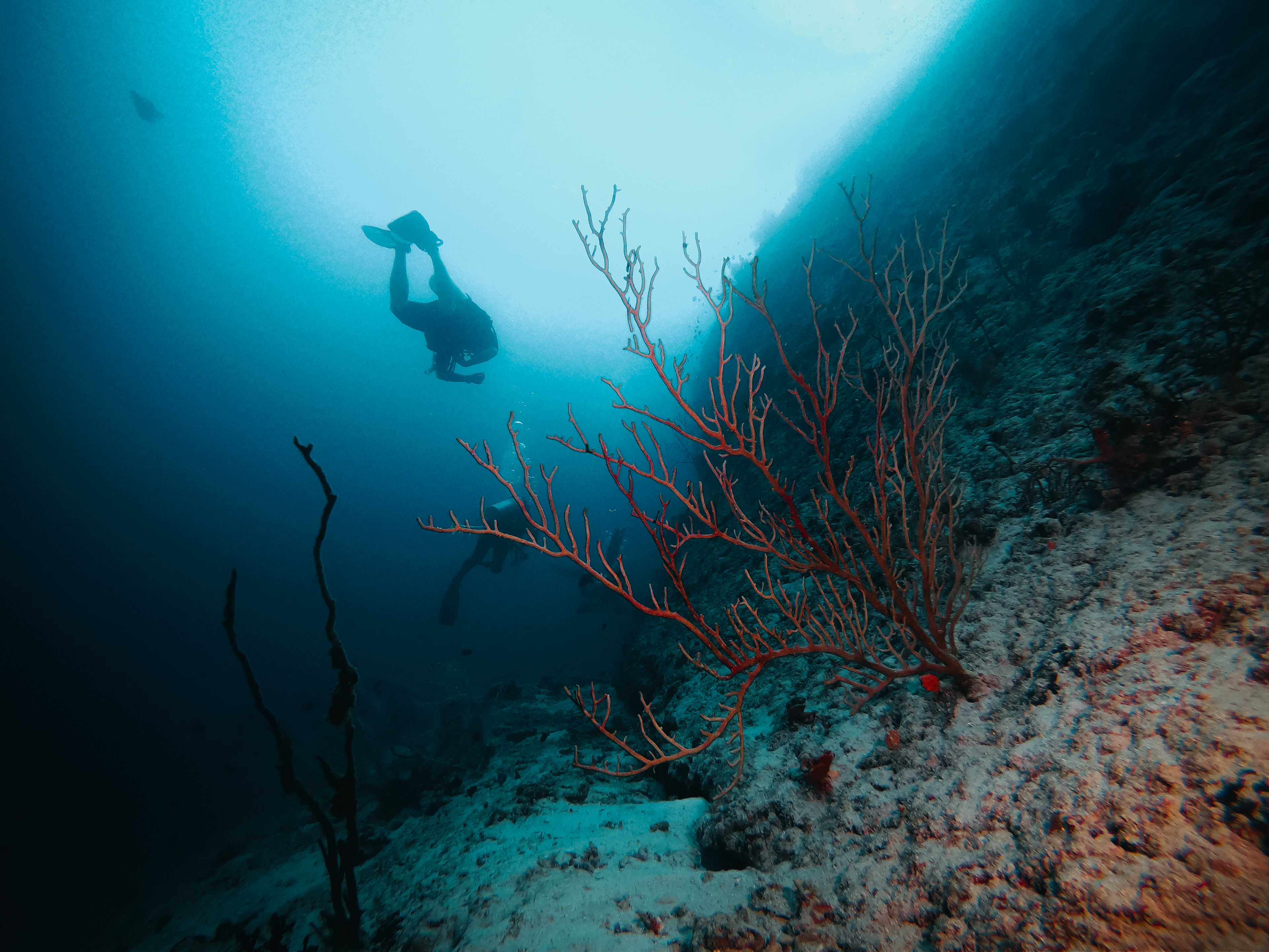 Maledives