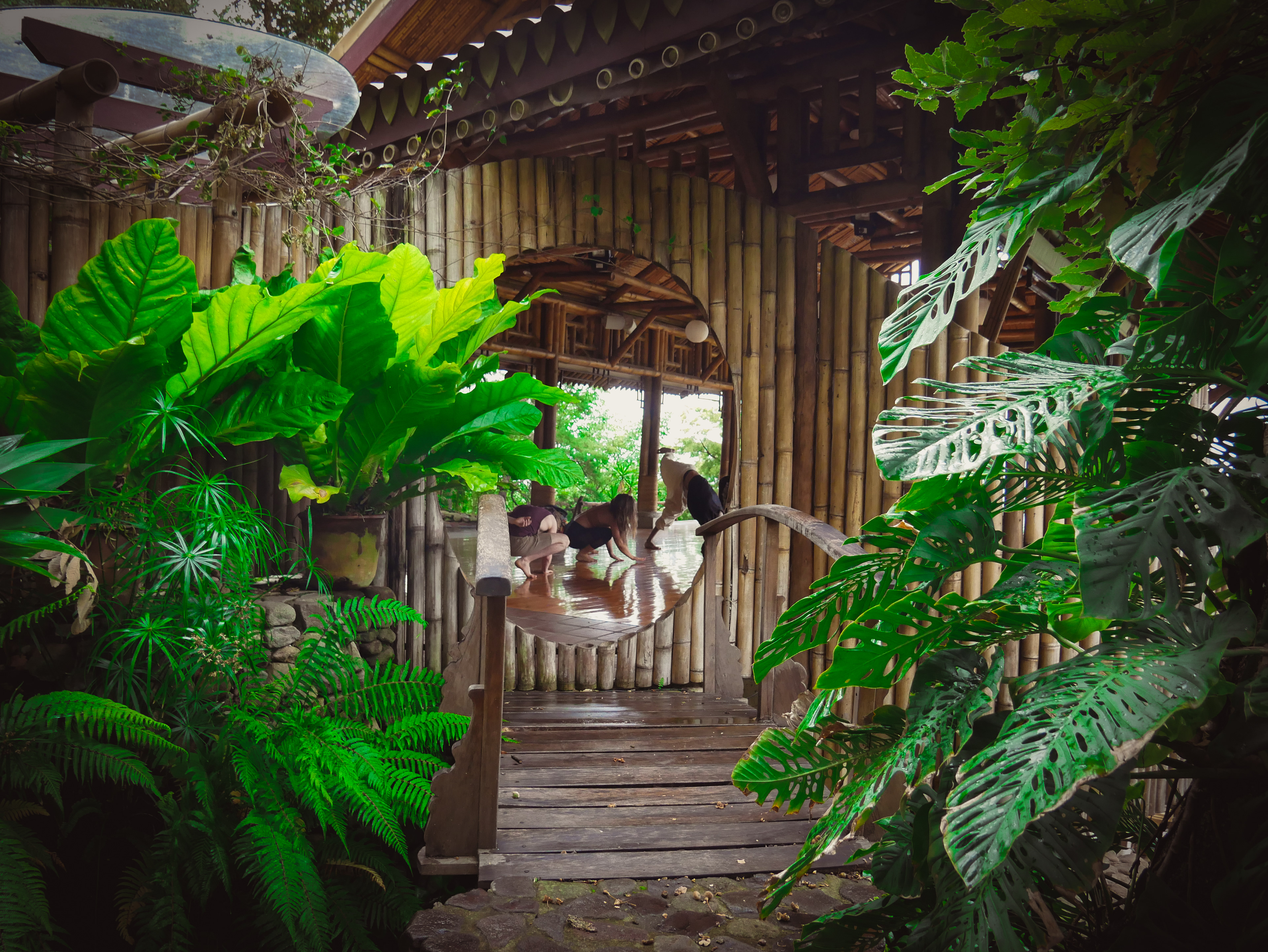 Contact Dance Workshop with Paulina, Taiji Tao Temple, San Marcos, Guatemala