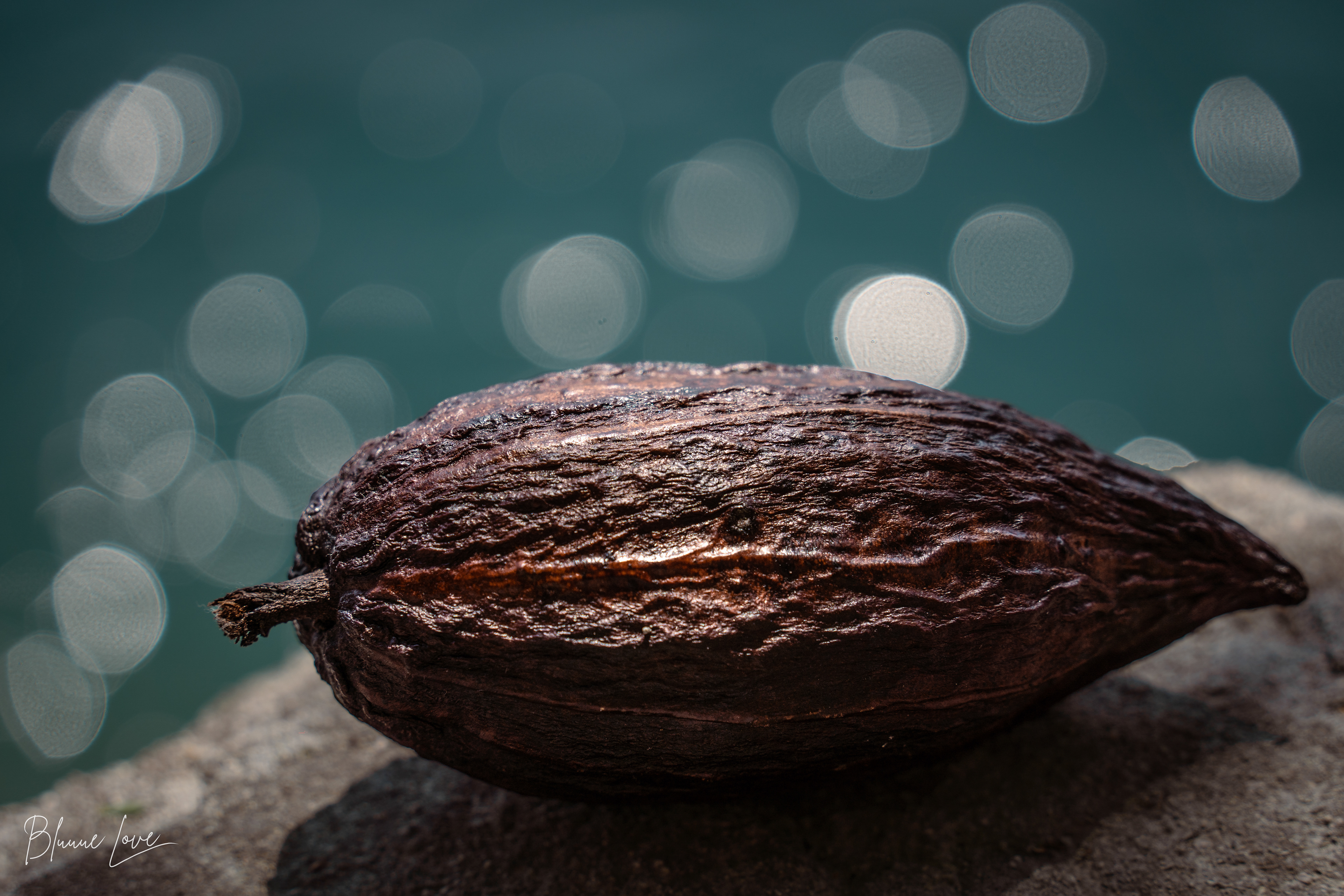 Ceremonial photo shoot with Janinne