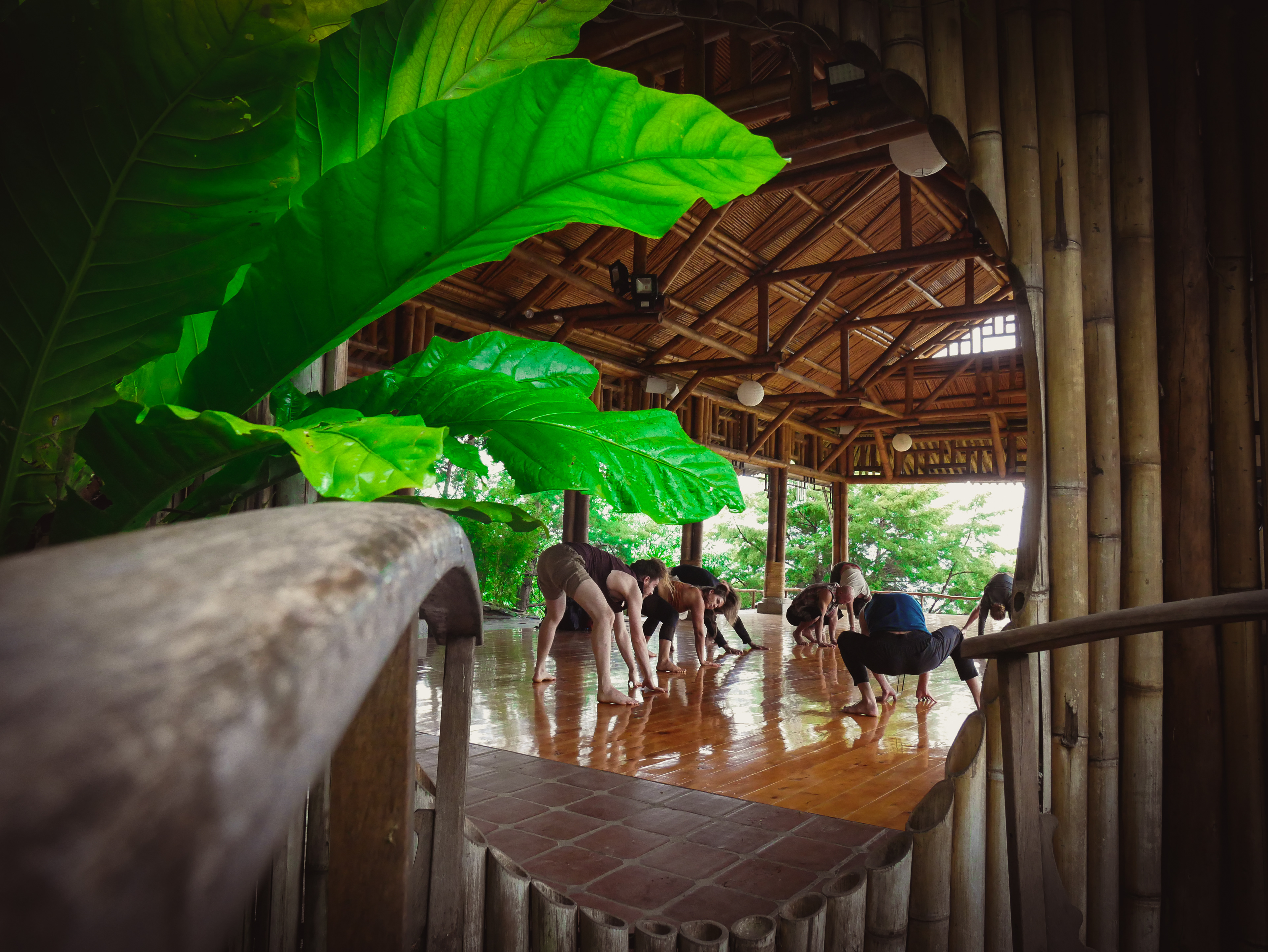 Contact Dance Workshop with Paulina, Taiji Tao Temple, San Marcos, Guatemala