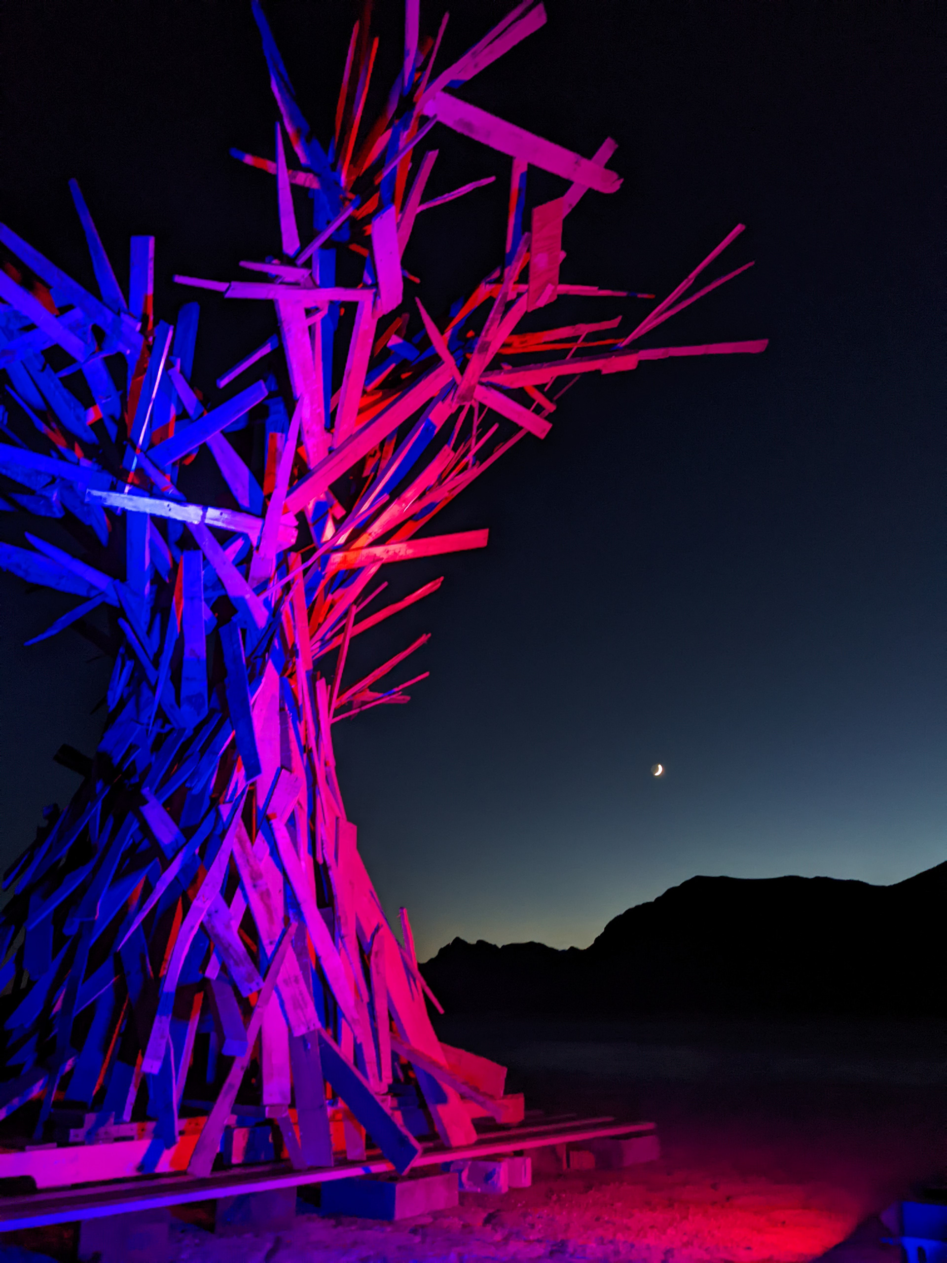 DDP 8: Tree