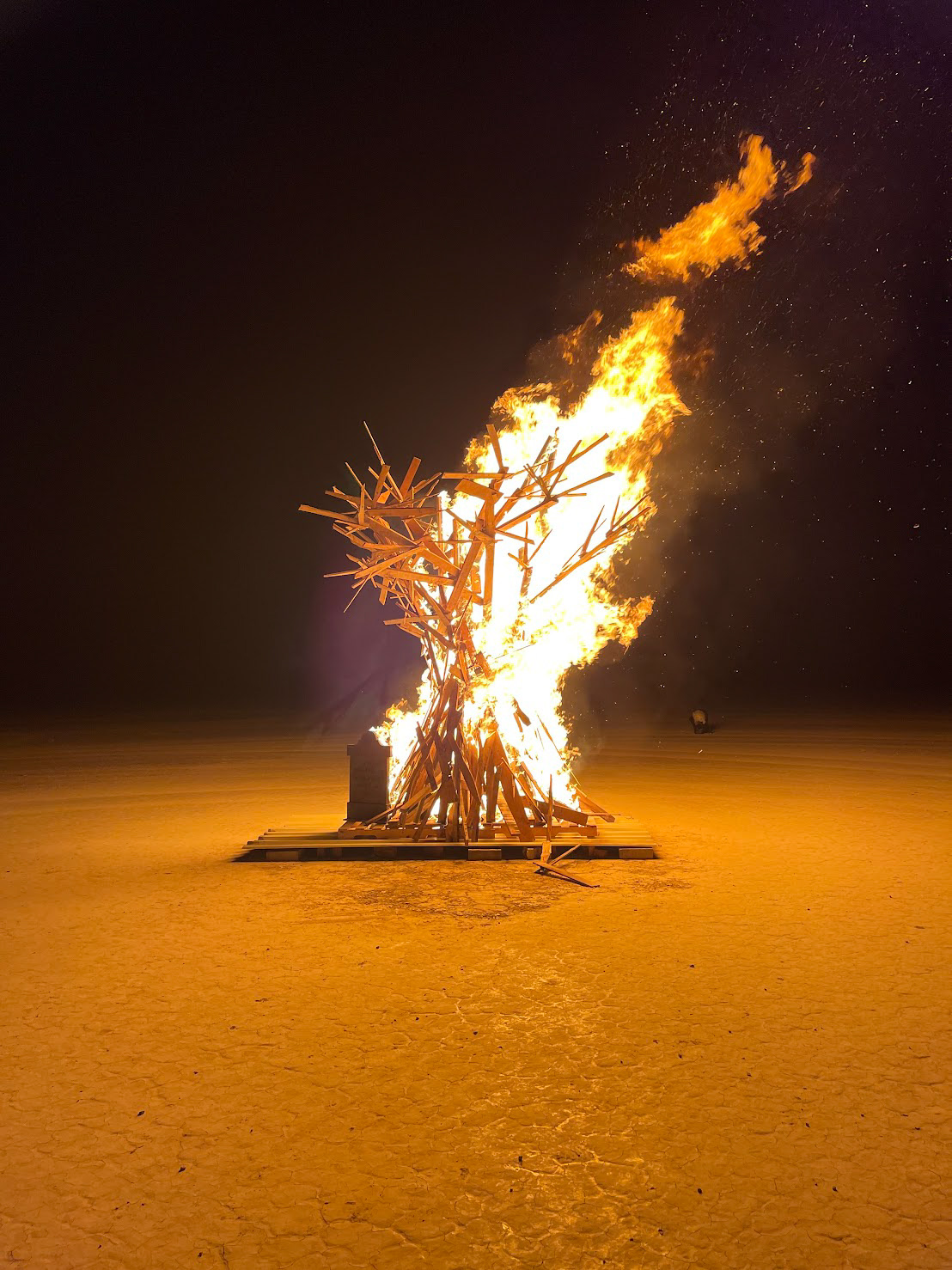 DDP 8: Tree