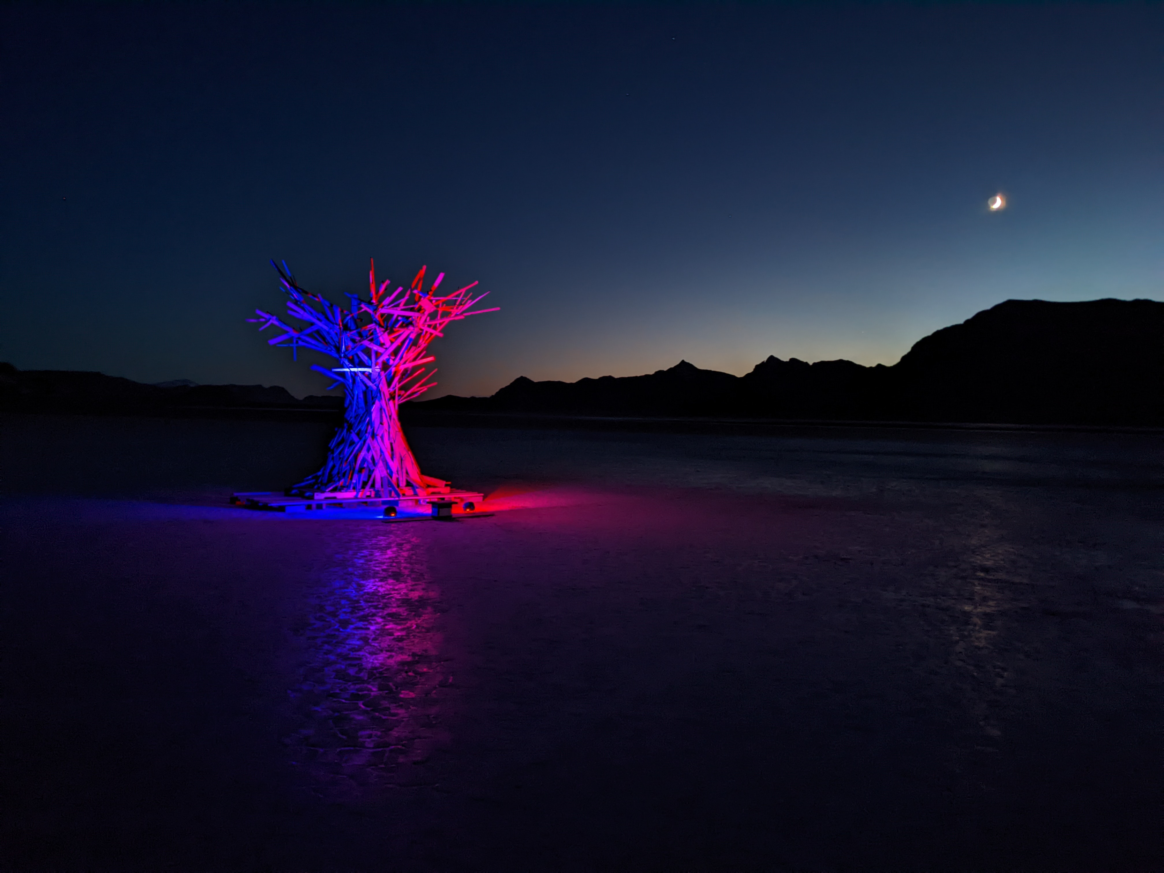 DDP 8: Tree