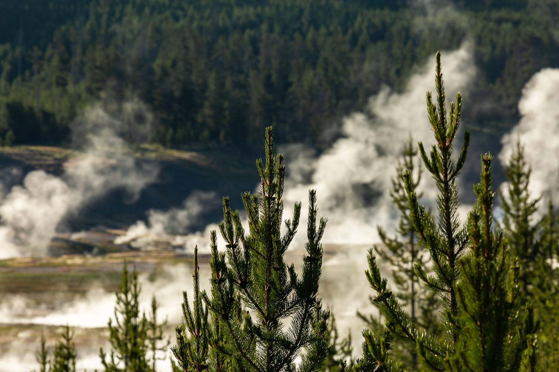 Grand Prismatic Springs