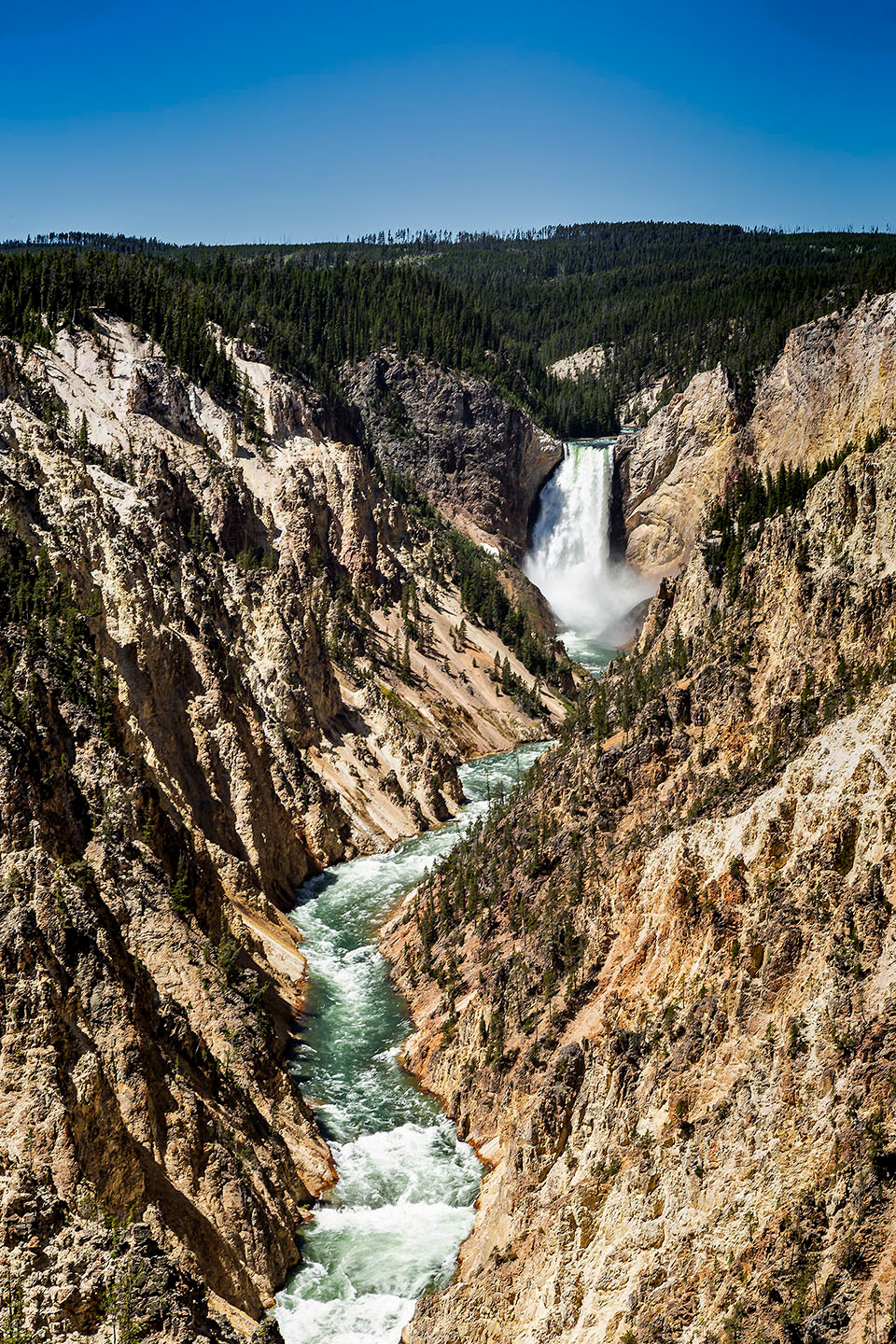 Lower Yellowstone Falls