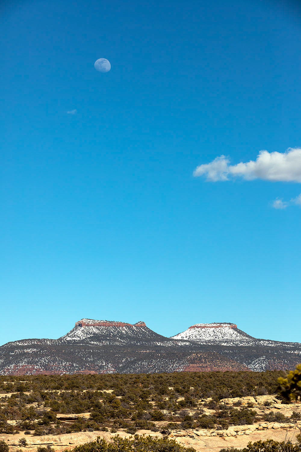 Moon Over Bears Ears