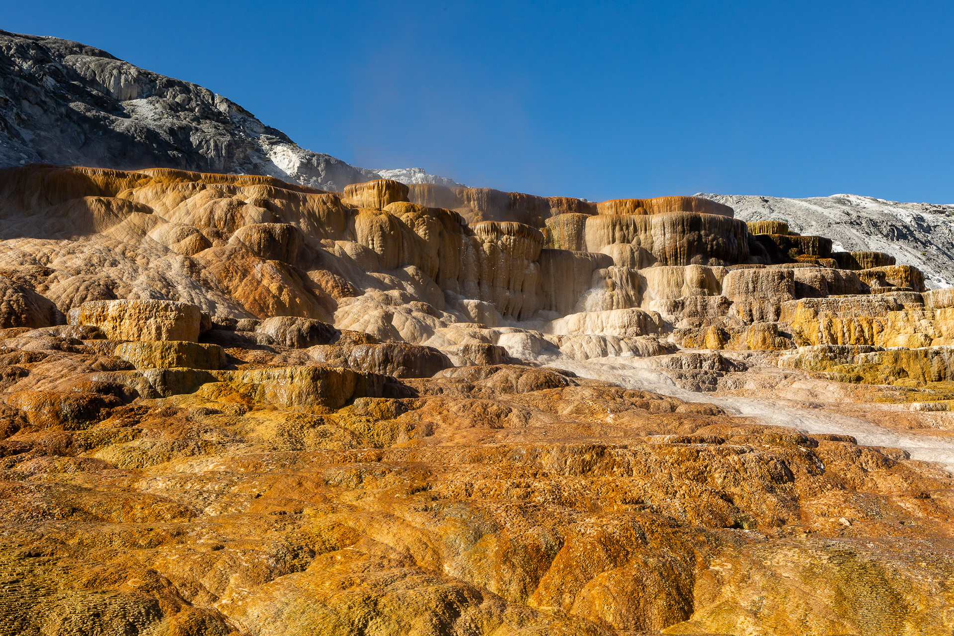 Mammoth Hot Springs