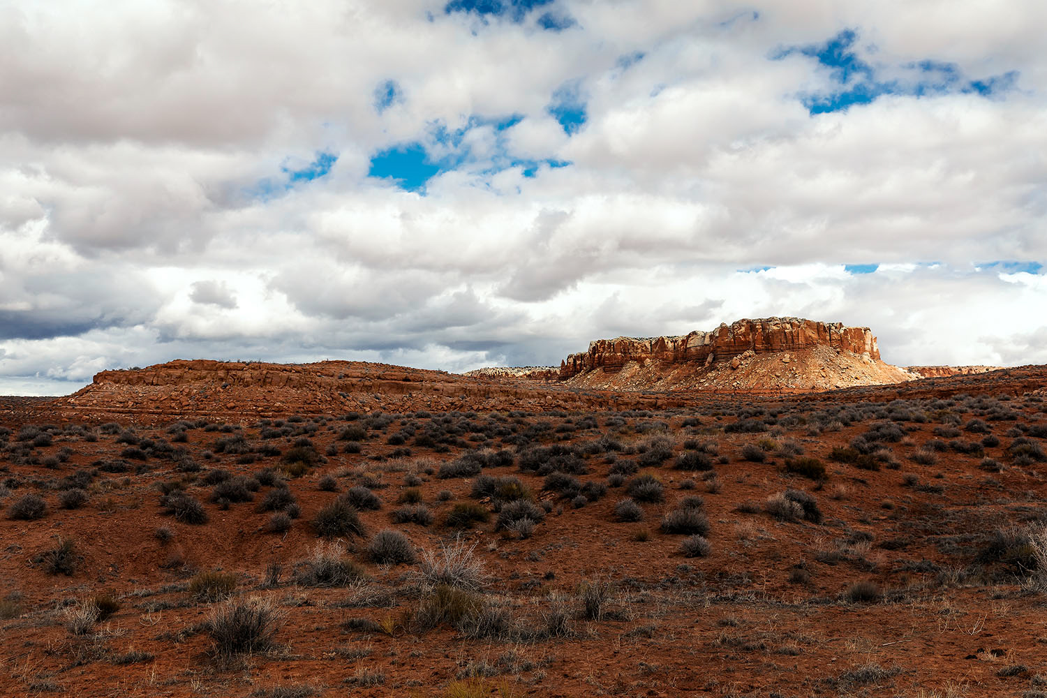 Bluff UT