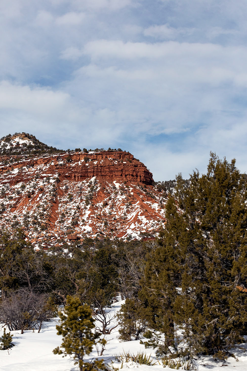 Cedar Mesa Winter