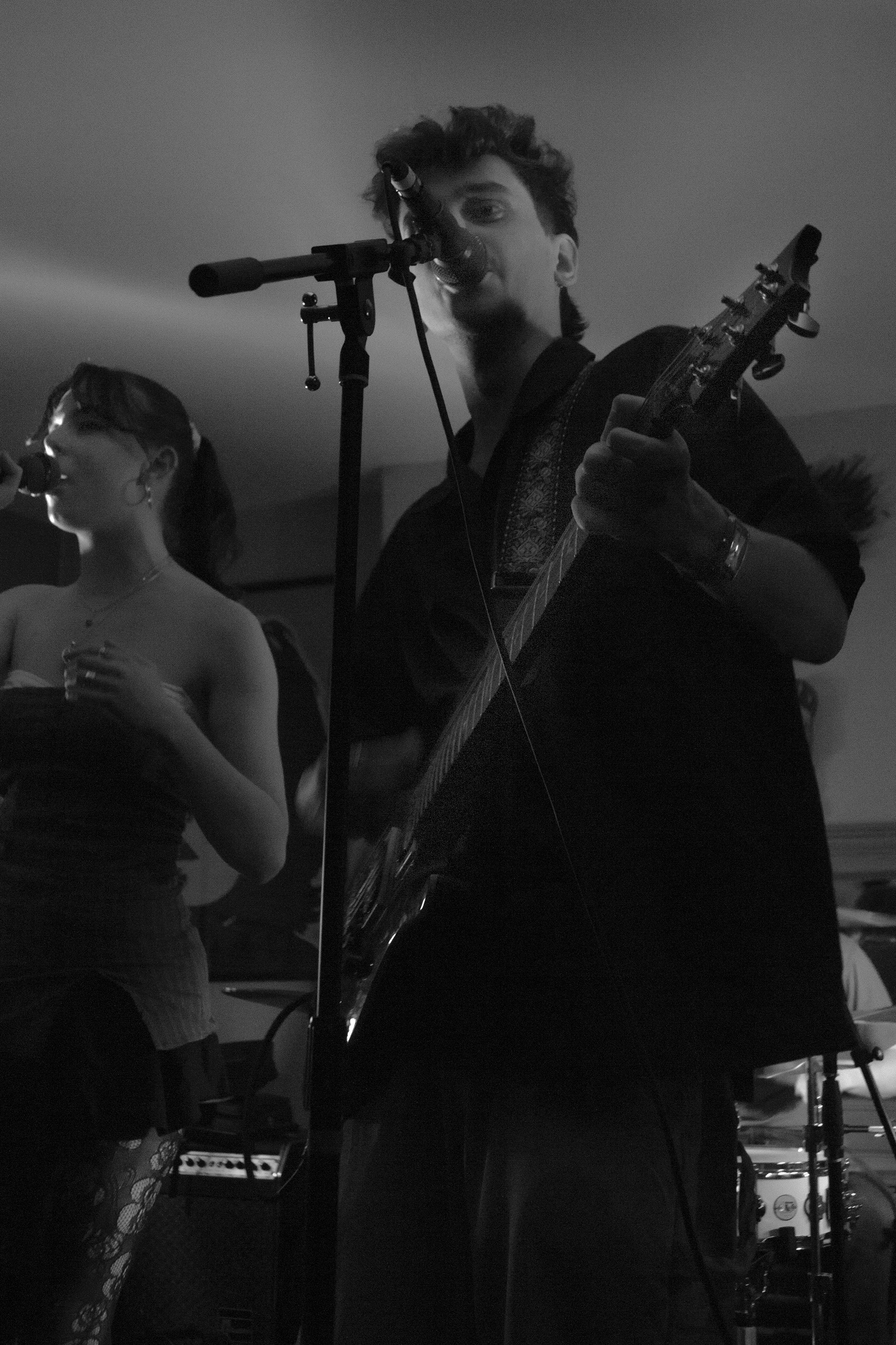 Infrared, Shakespeare's (Sheffield)