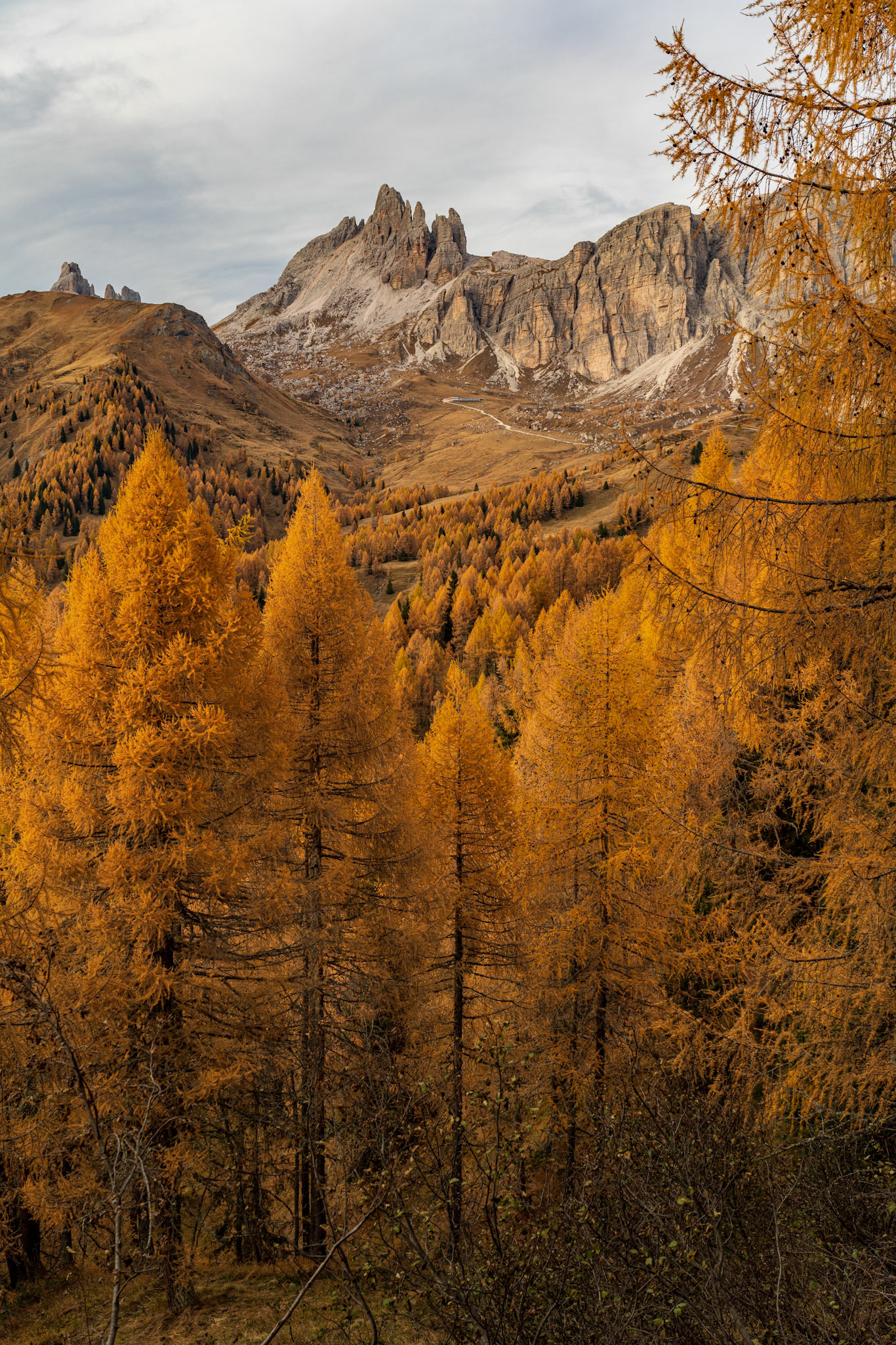 An extremely colourful autumn gave me these views, Dolomites, Italy