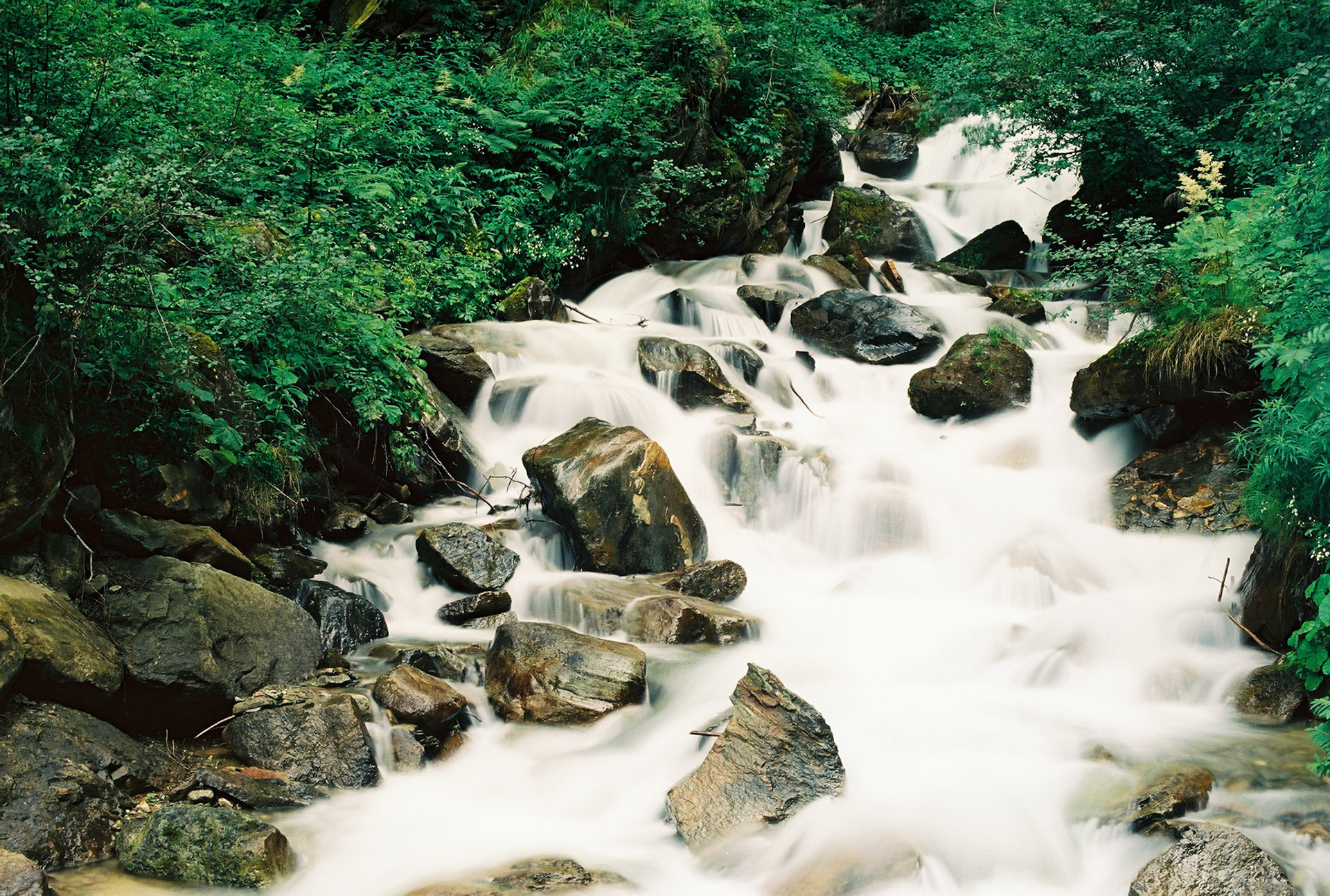 Stream near Val di Rabbi, Italy, Alps.
