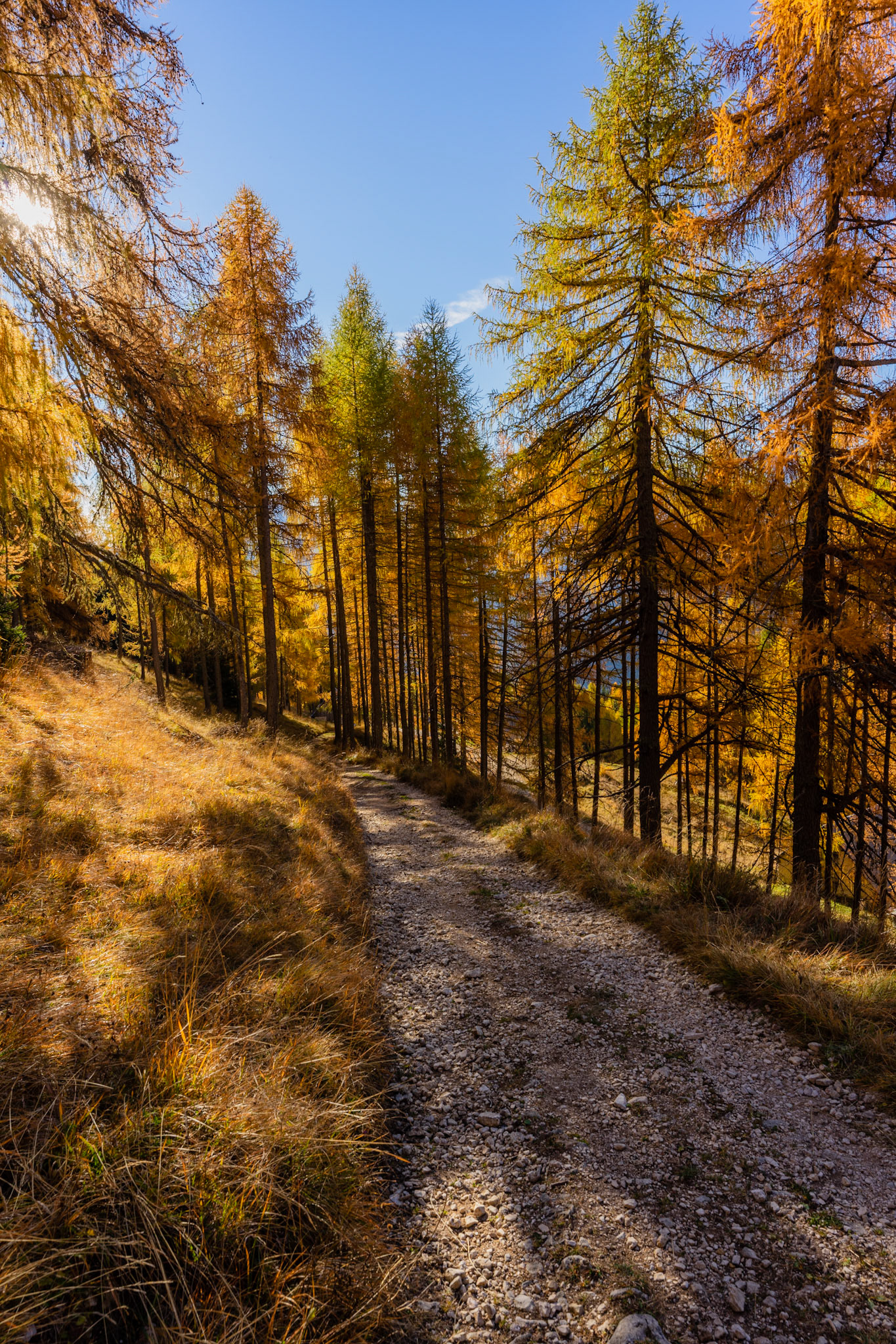Dolomites, Belluno, Italy