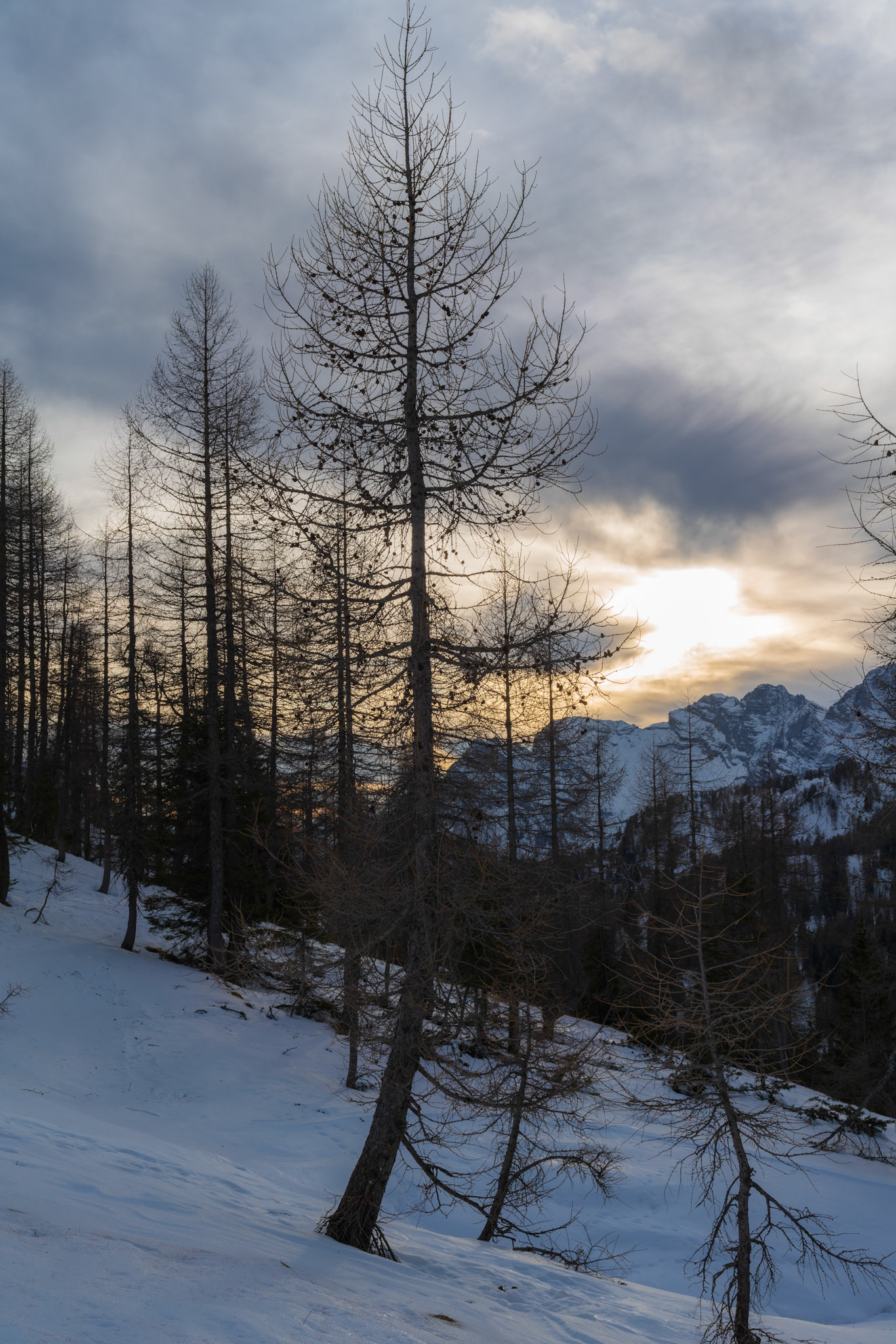 Dolomites, Belluno, Italy