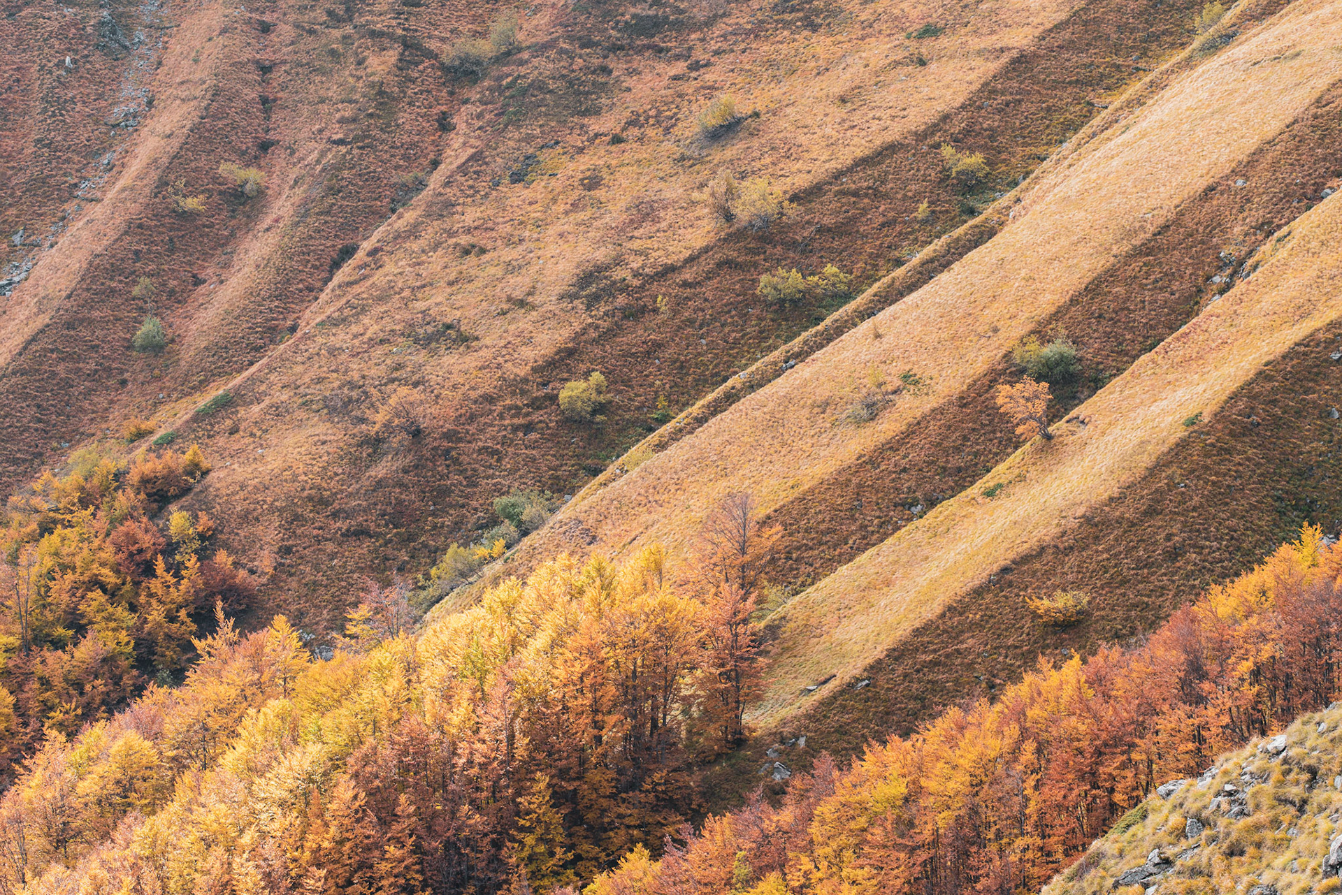 Appennes, Corno alle Scale