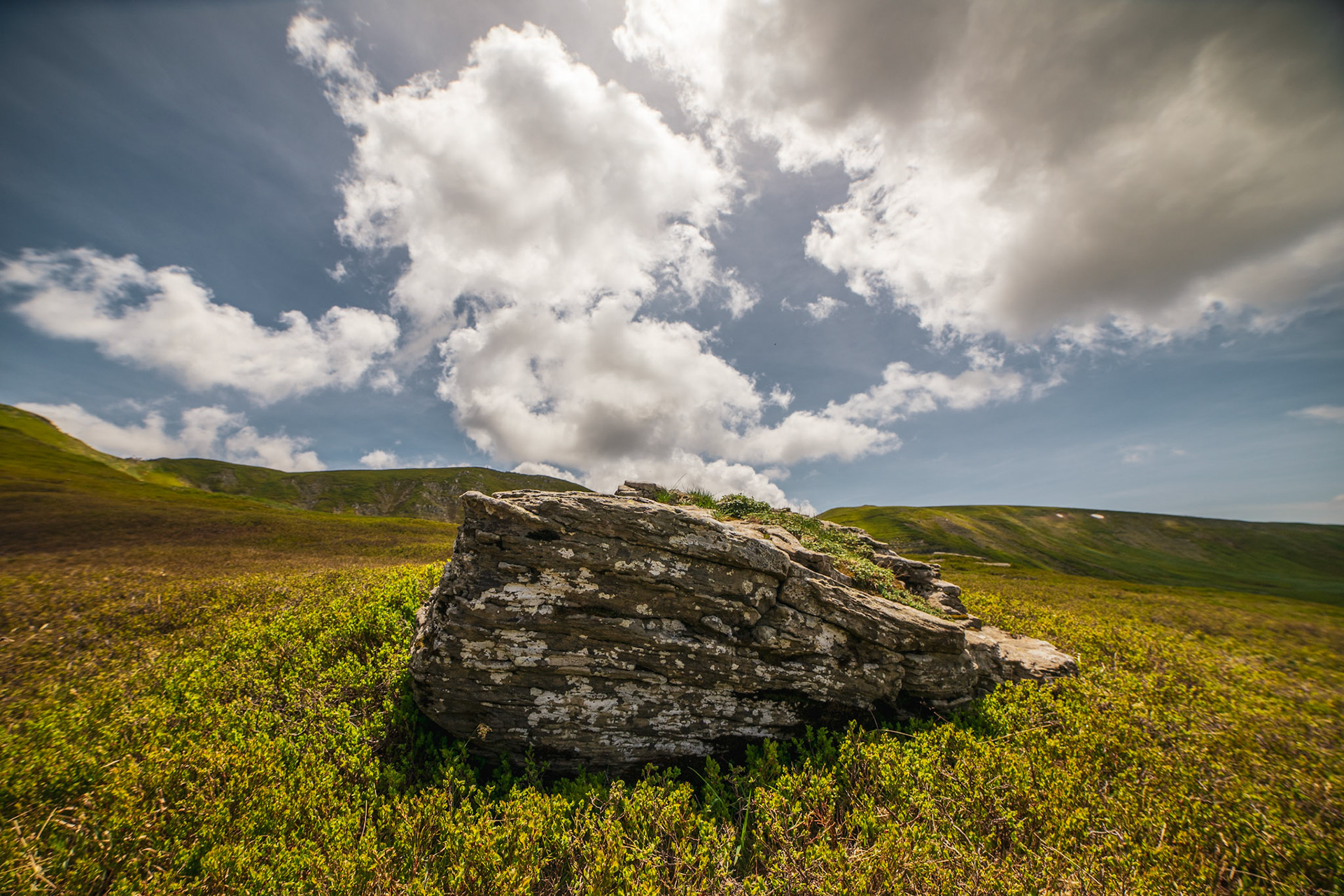 A sandstone stone, the typical Emilian rock