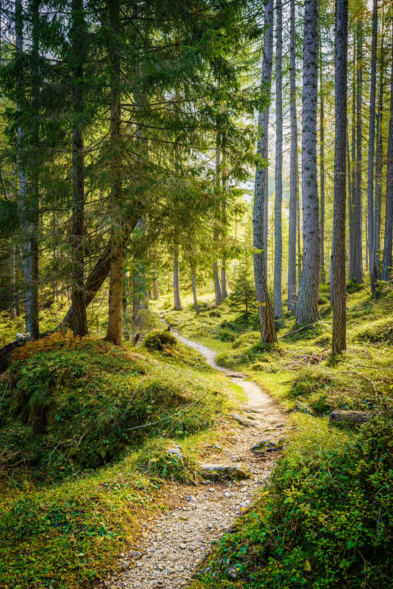 Among the Path of Zoldo Valley