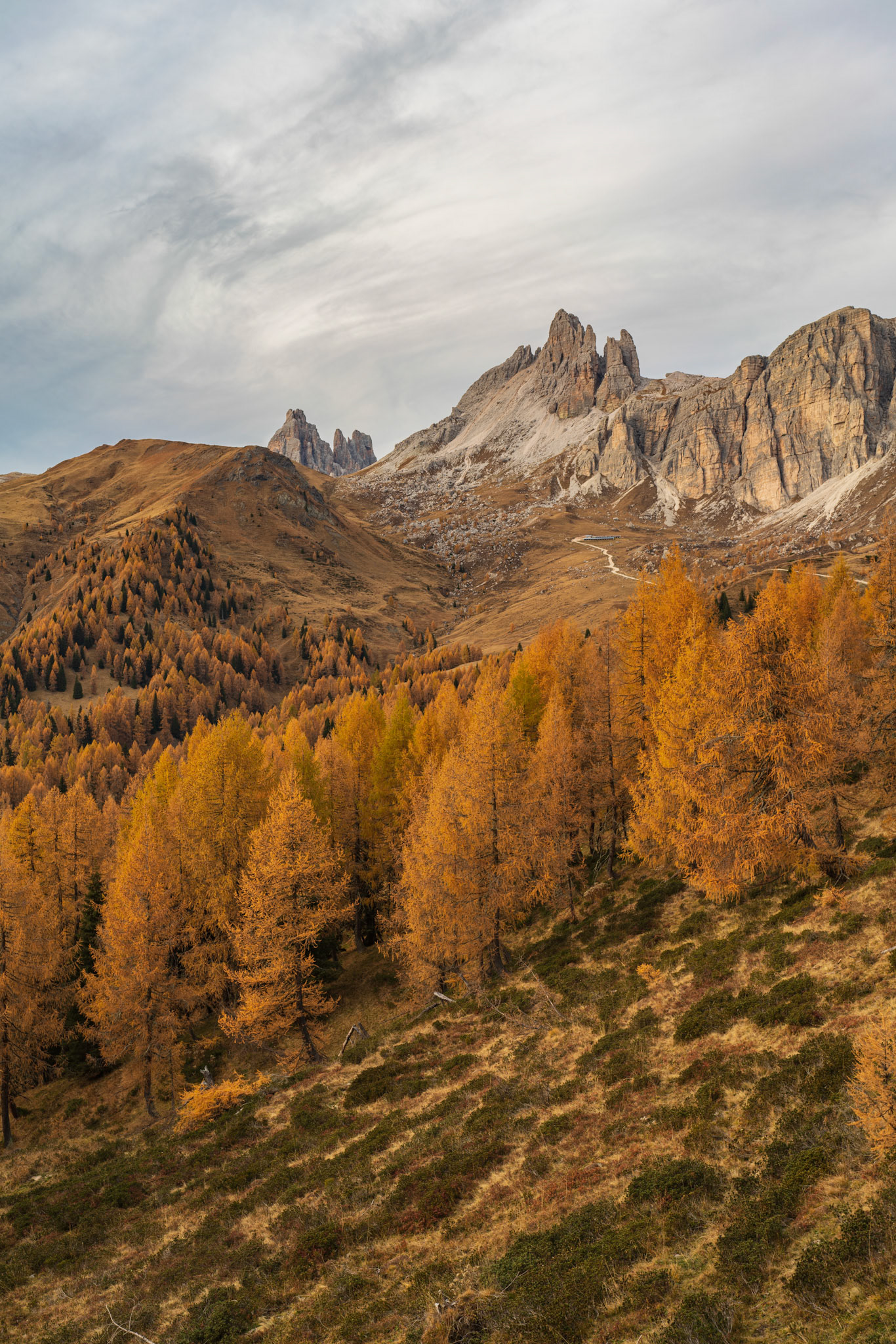 An extremely colourful autumn gave me these views, Dolomites, Italy