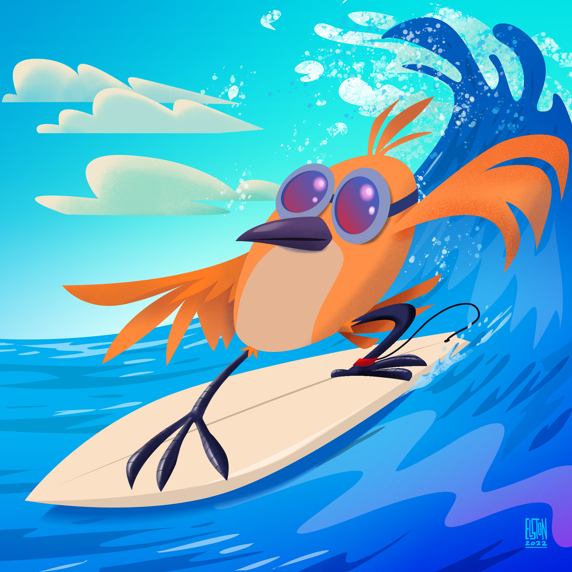 surfing bird