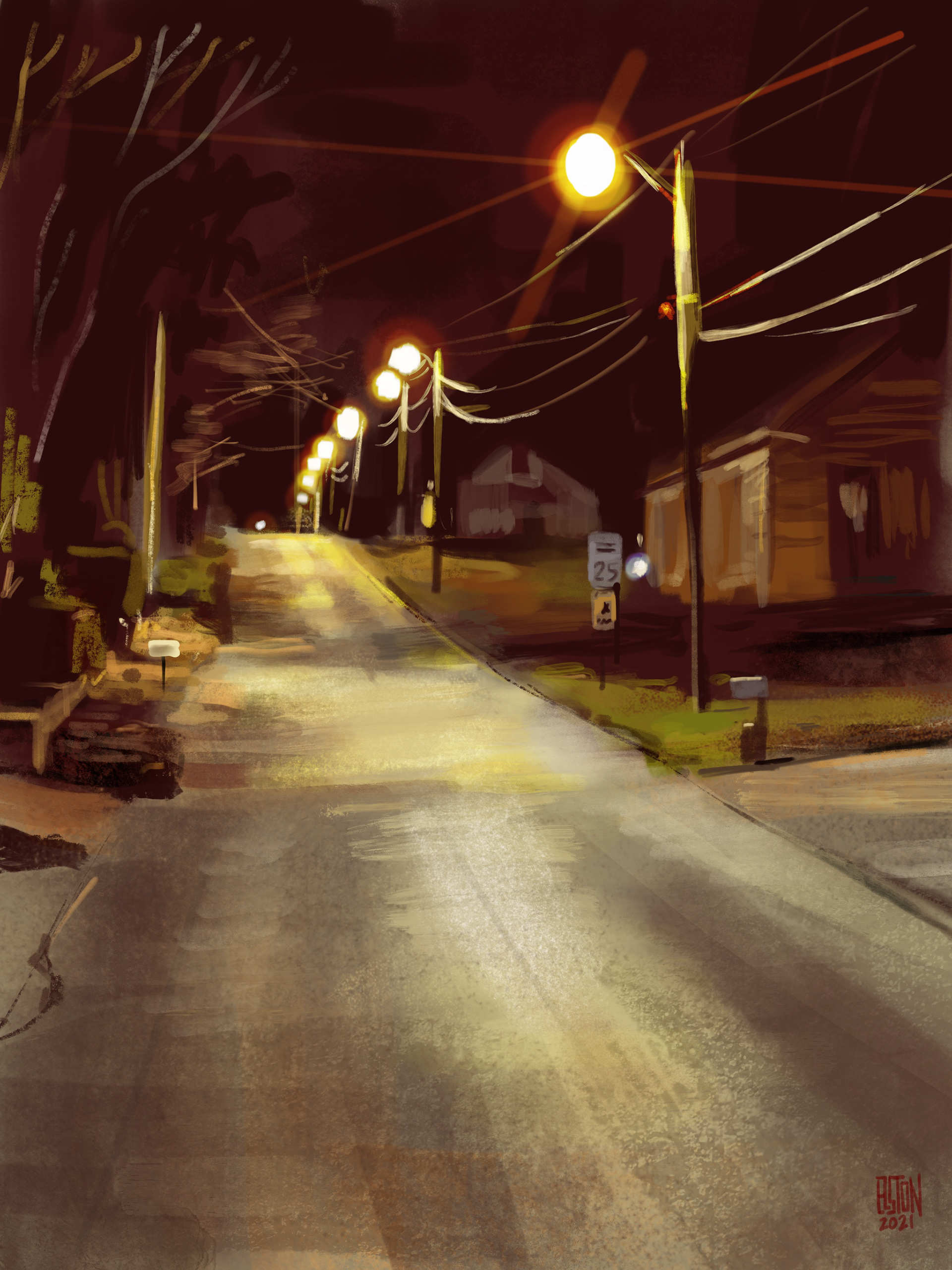 Spring Hill TN at night, Procreate