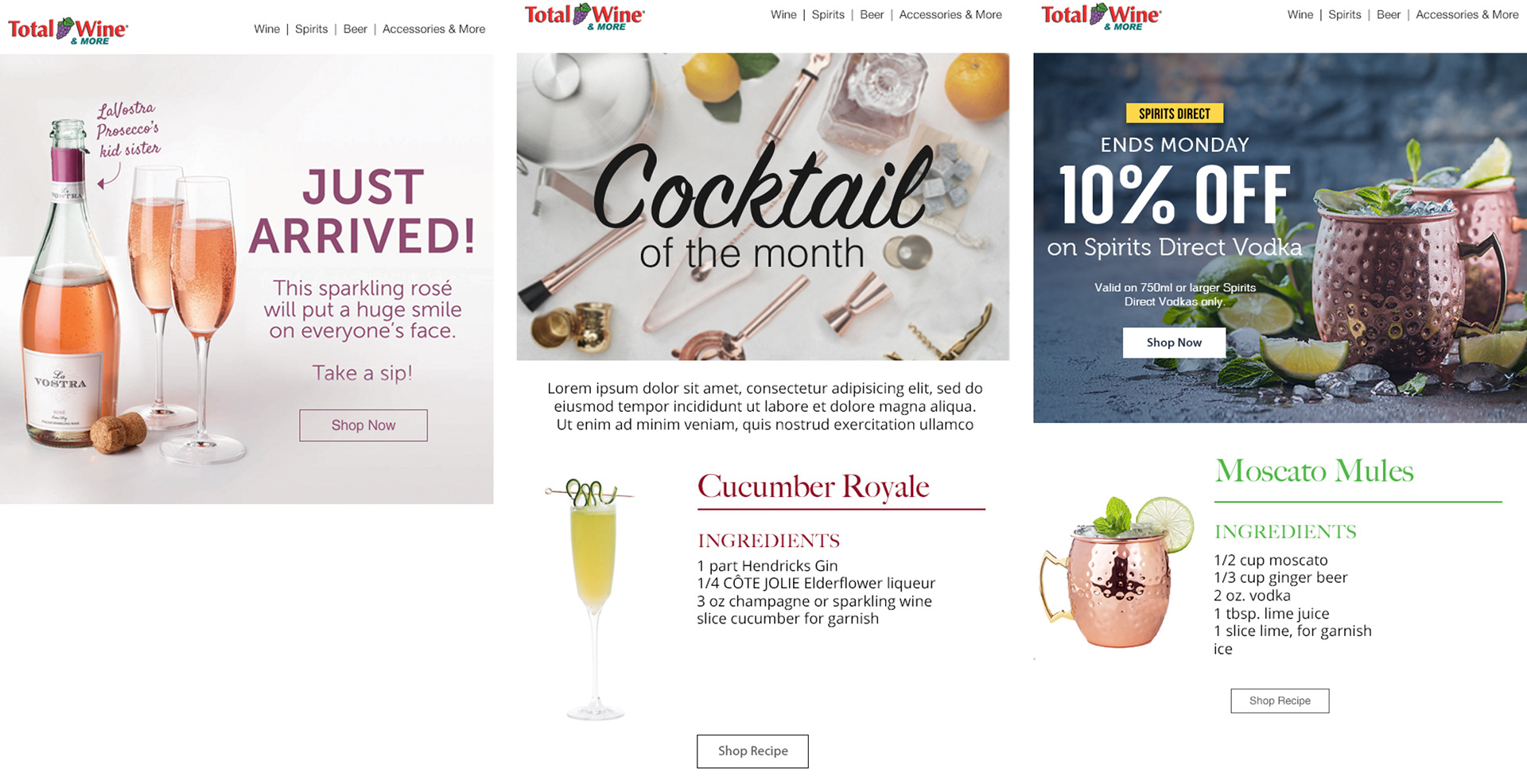 Task: Work with teams across the company to create email campaigns to be used across platforms. Worked with copy writers, developers, designers until completion. Concept, storyboard and approved artwork from junior designers. Medium: Email (shown), web, social media