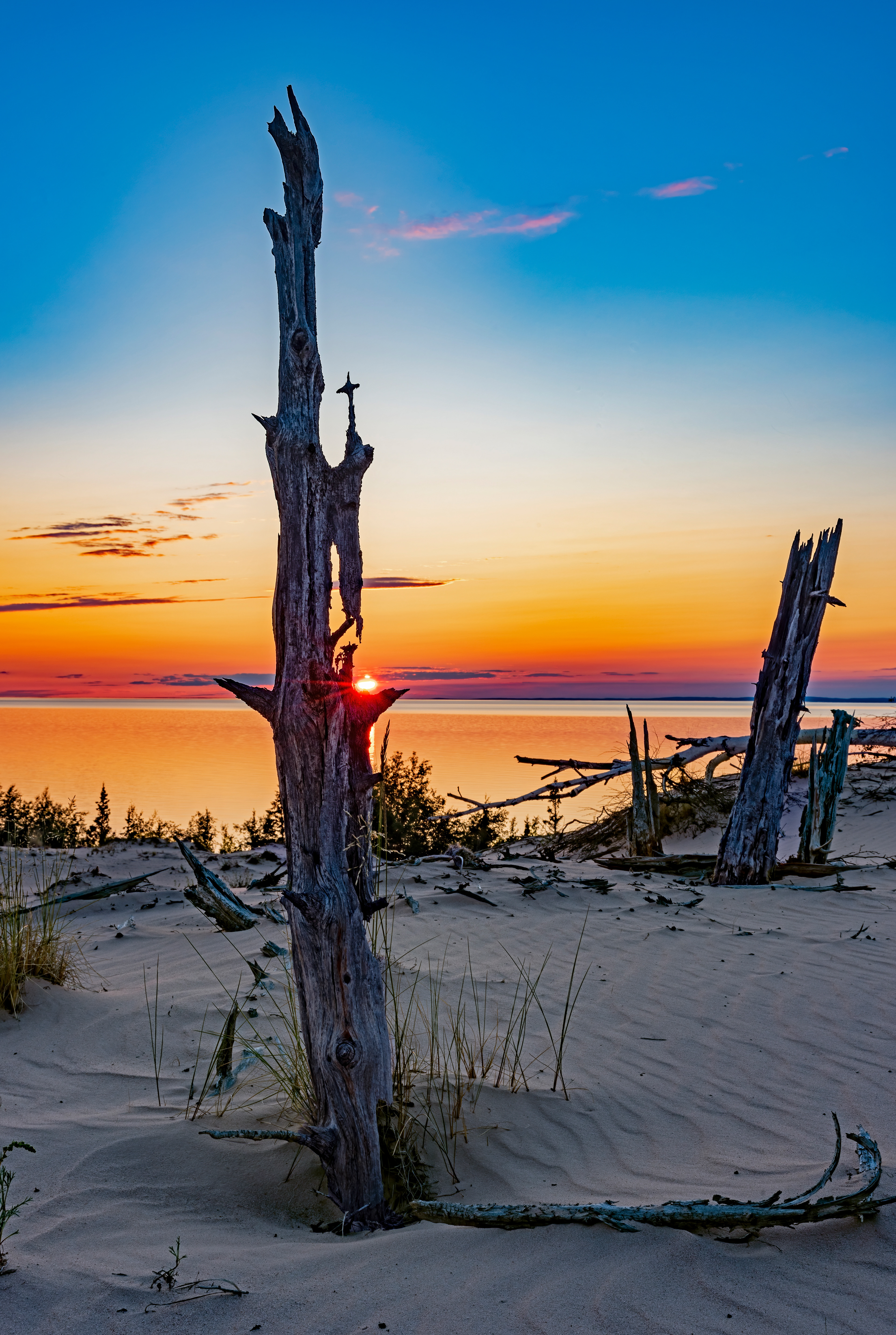 Athabasca Sand Dunes