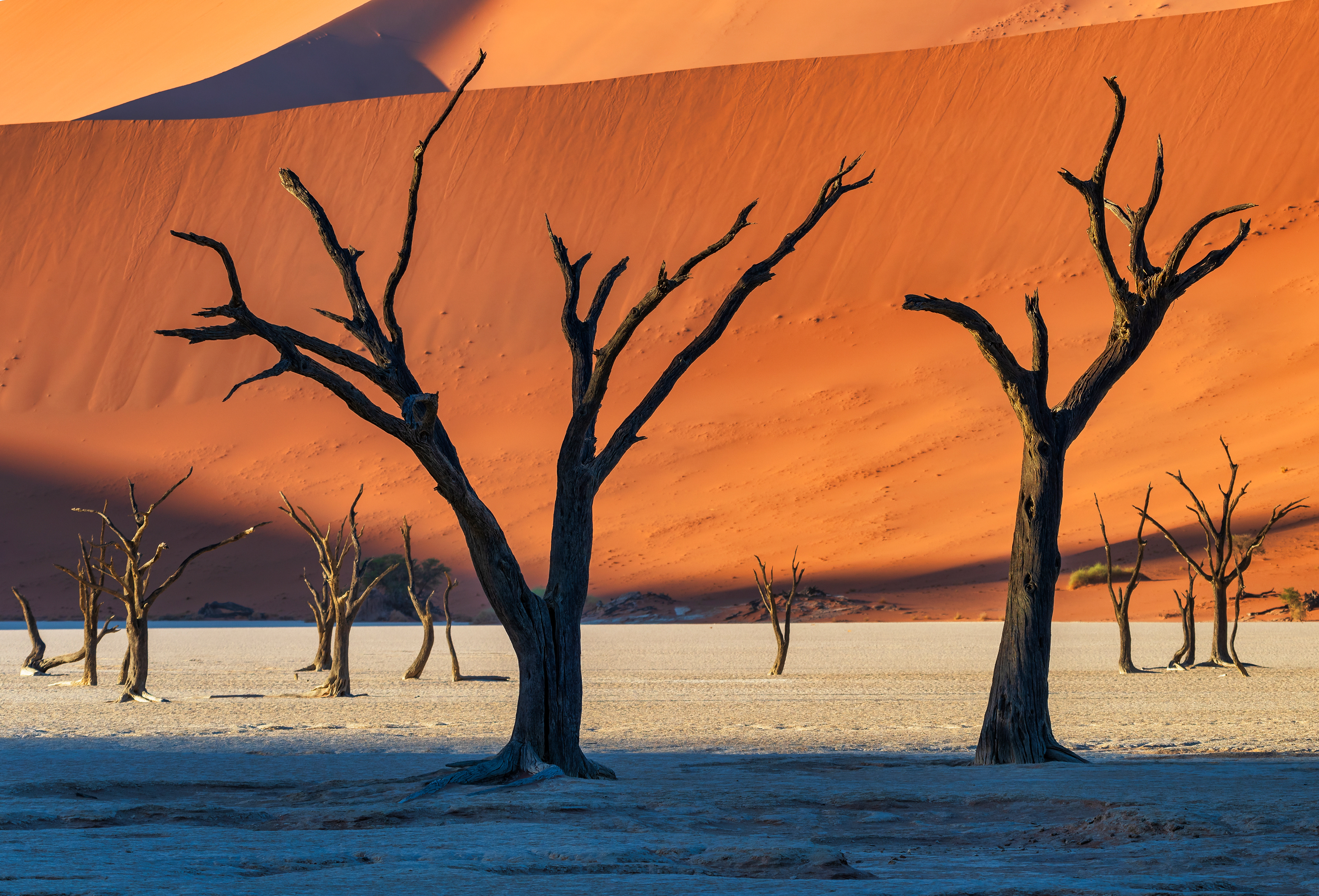 Dead Vlei