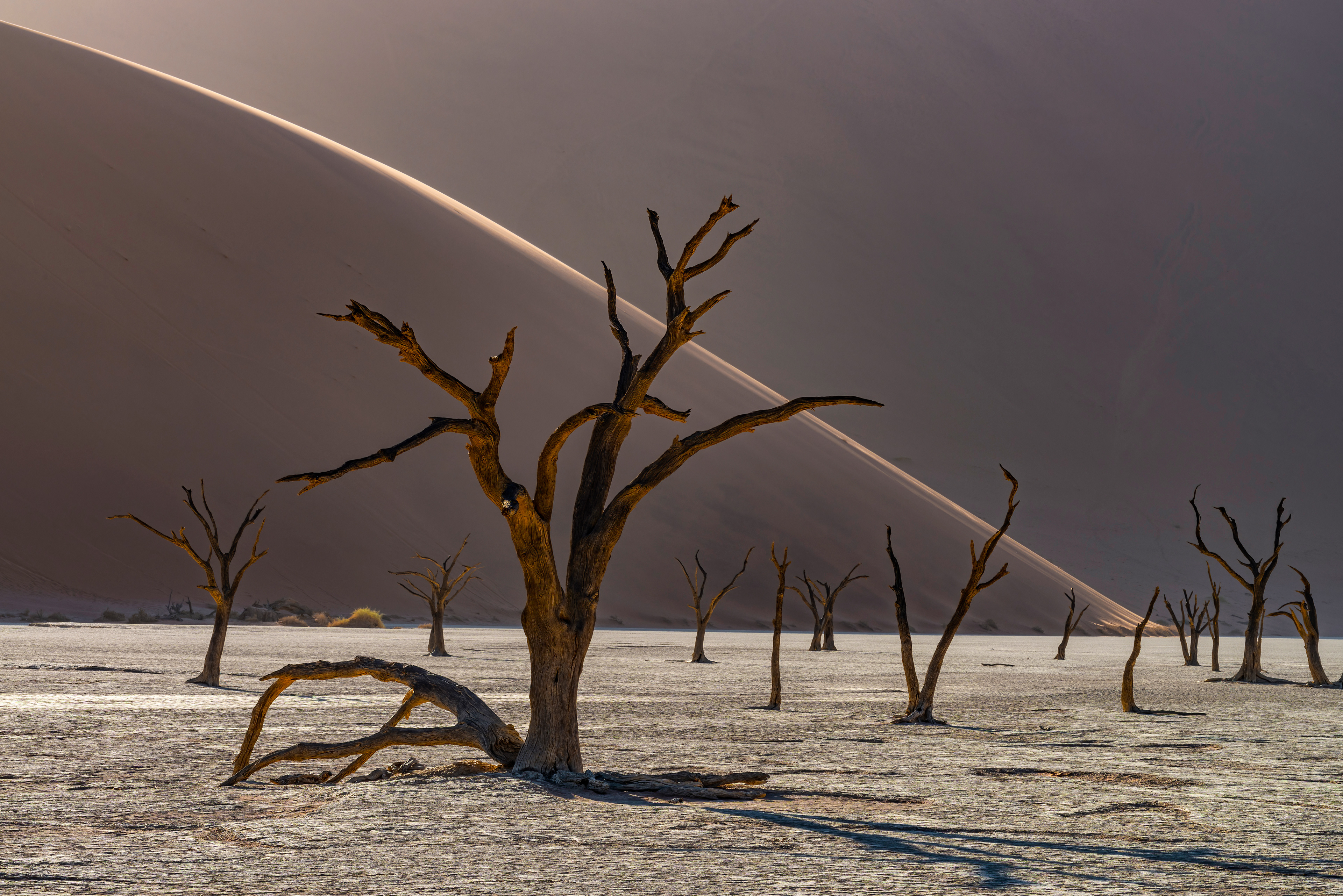 Deadvlei, Namibia