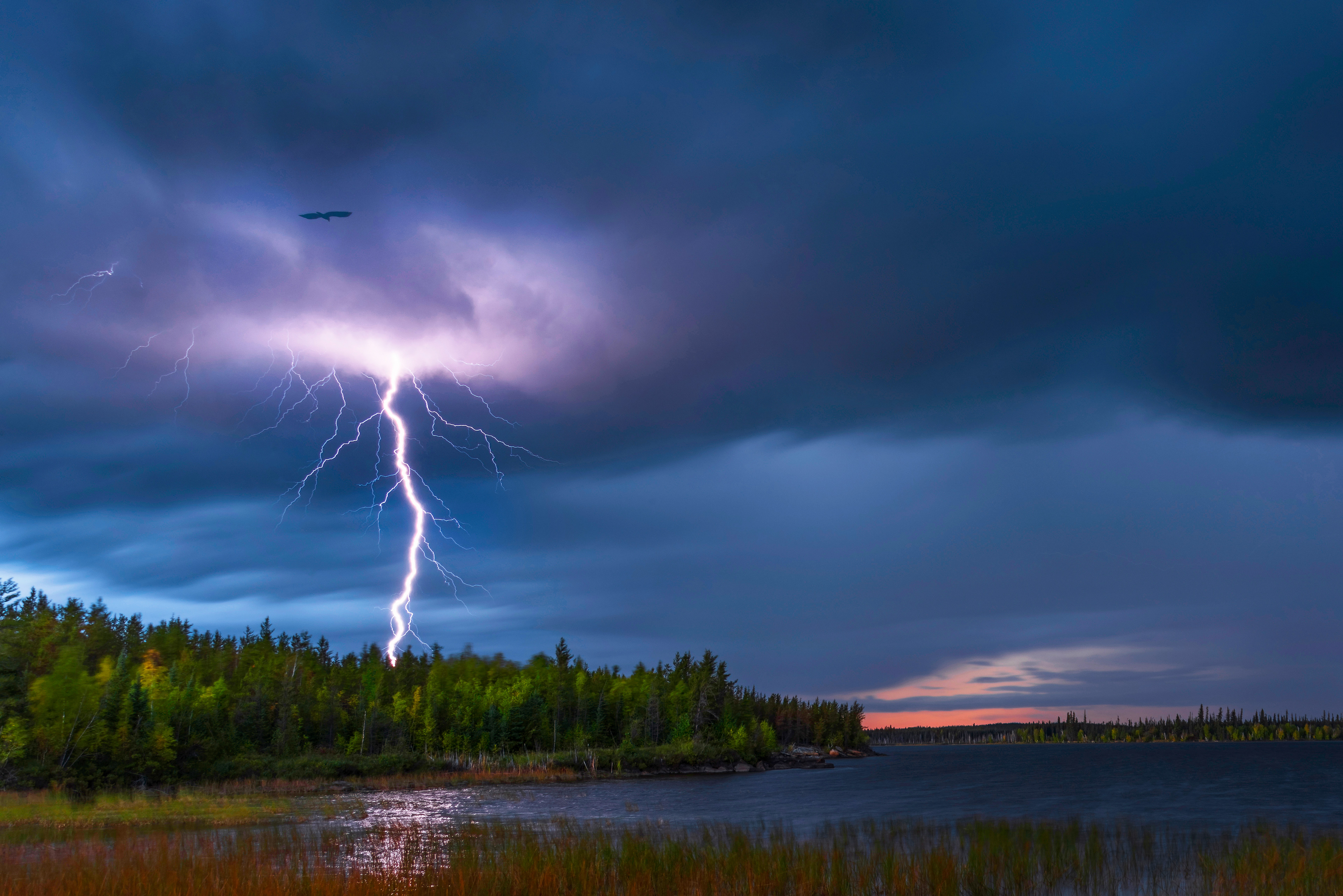 Flying into the Storm