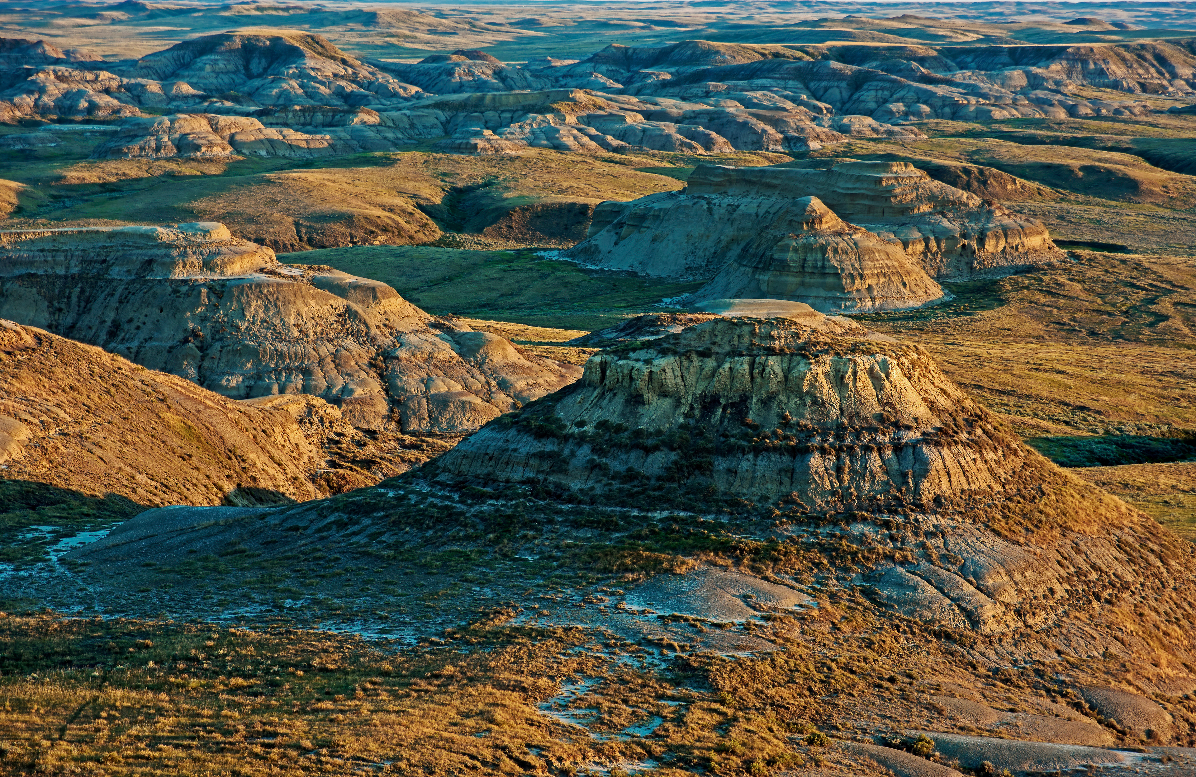 Grasslands NP