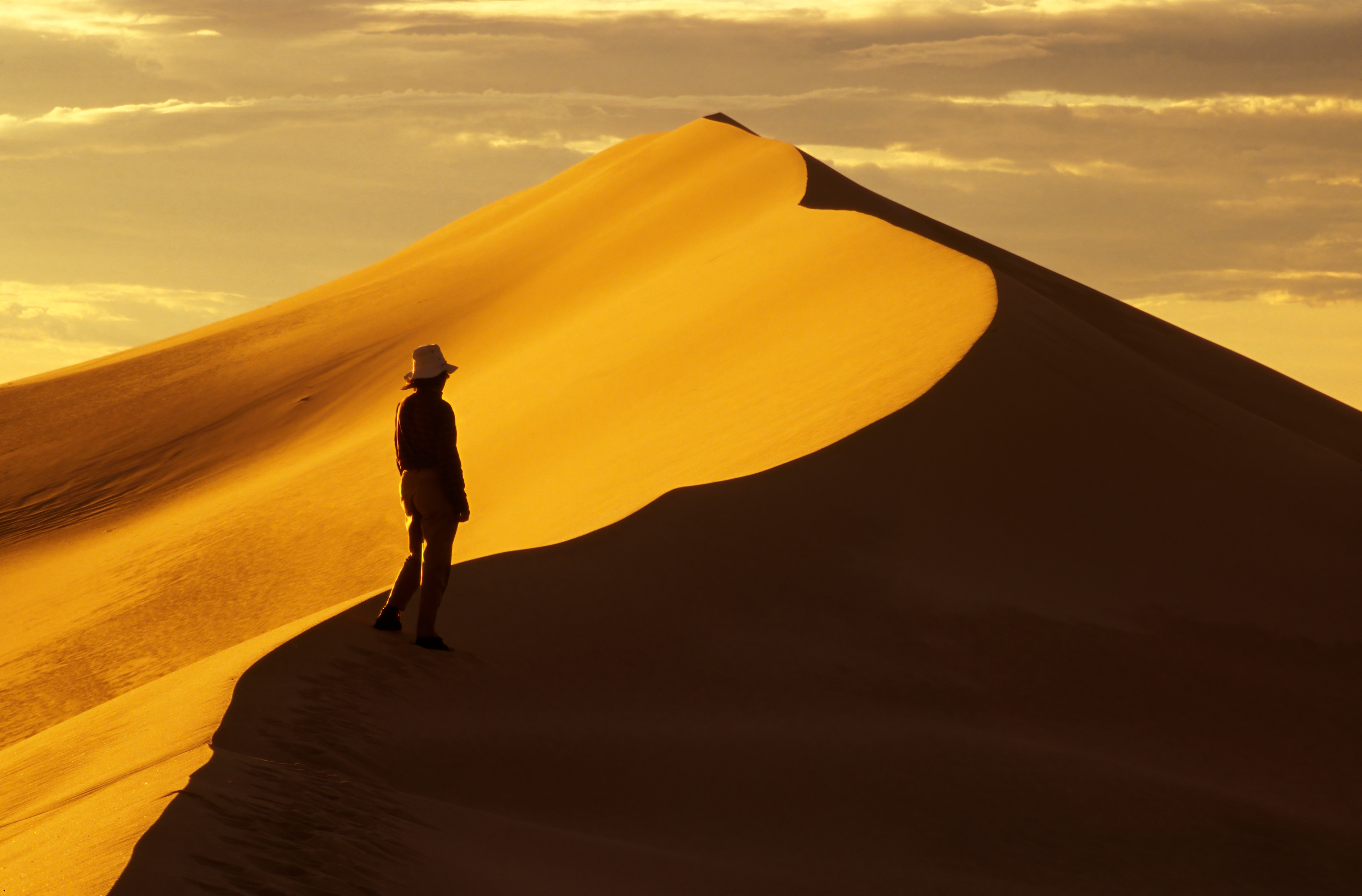 Athabasca Sand Dunes