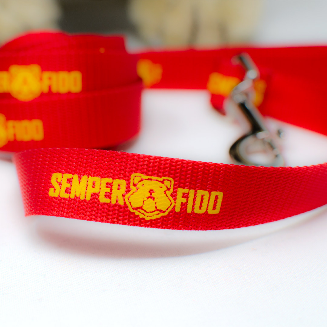 Leash Closeup