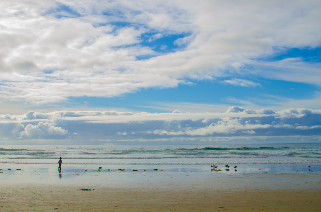 SCRIPPS BEACH