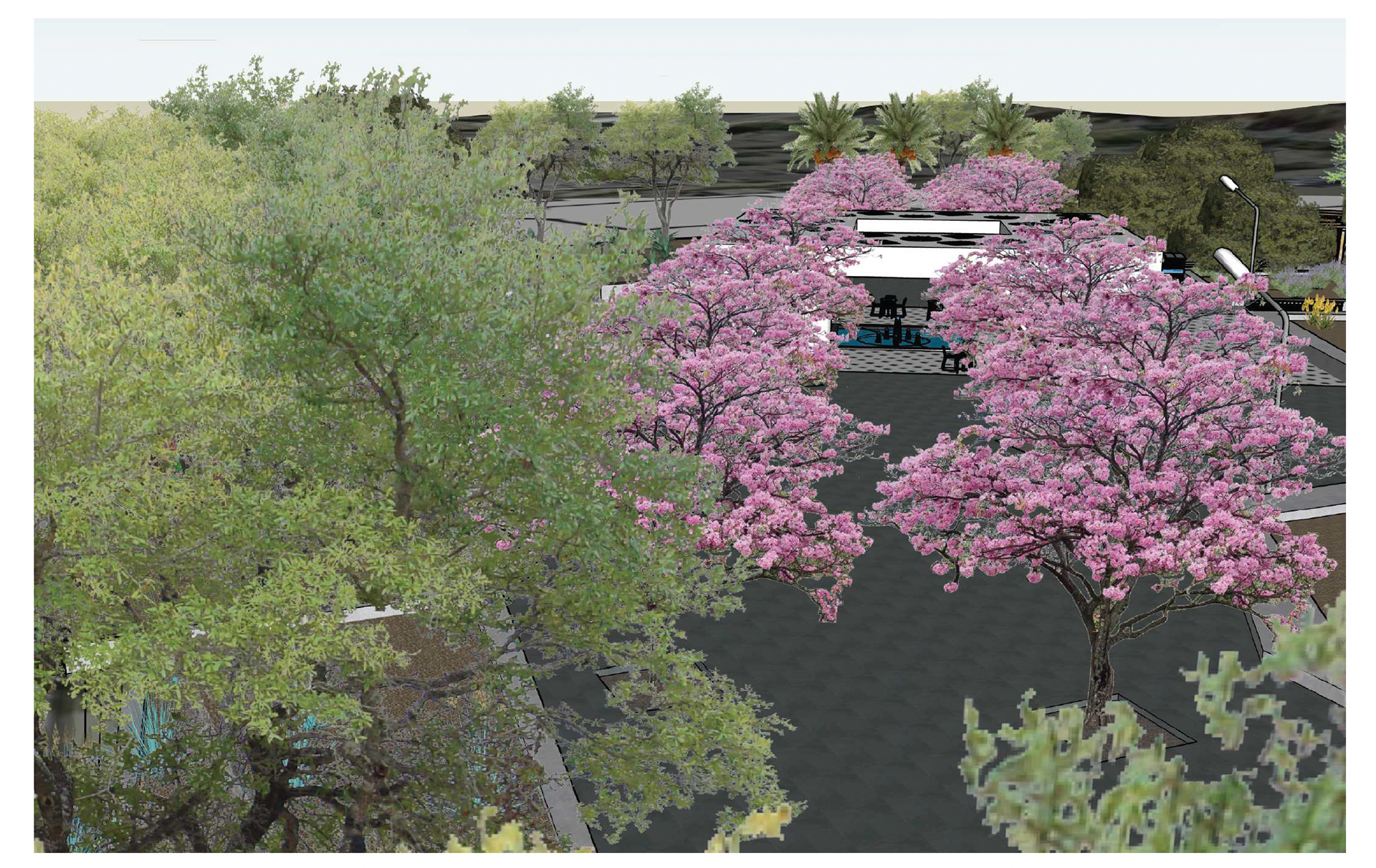 PINK TRUMPET BLOSSOM TRAIL