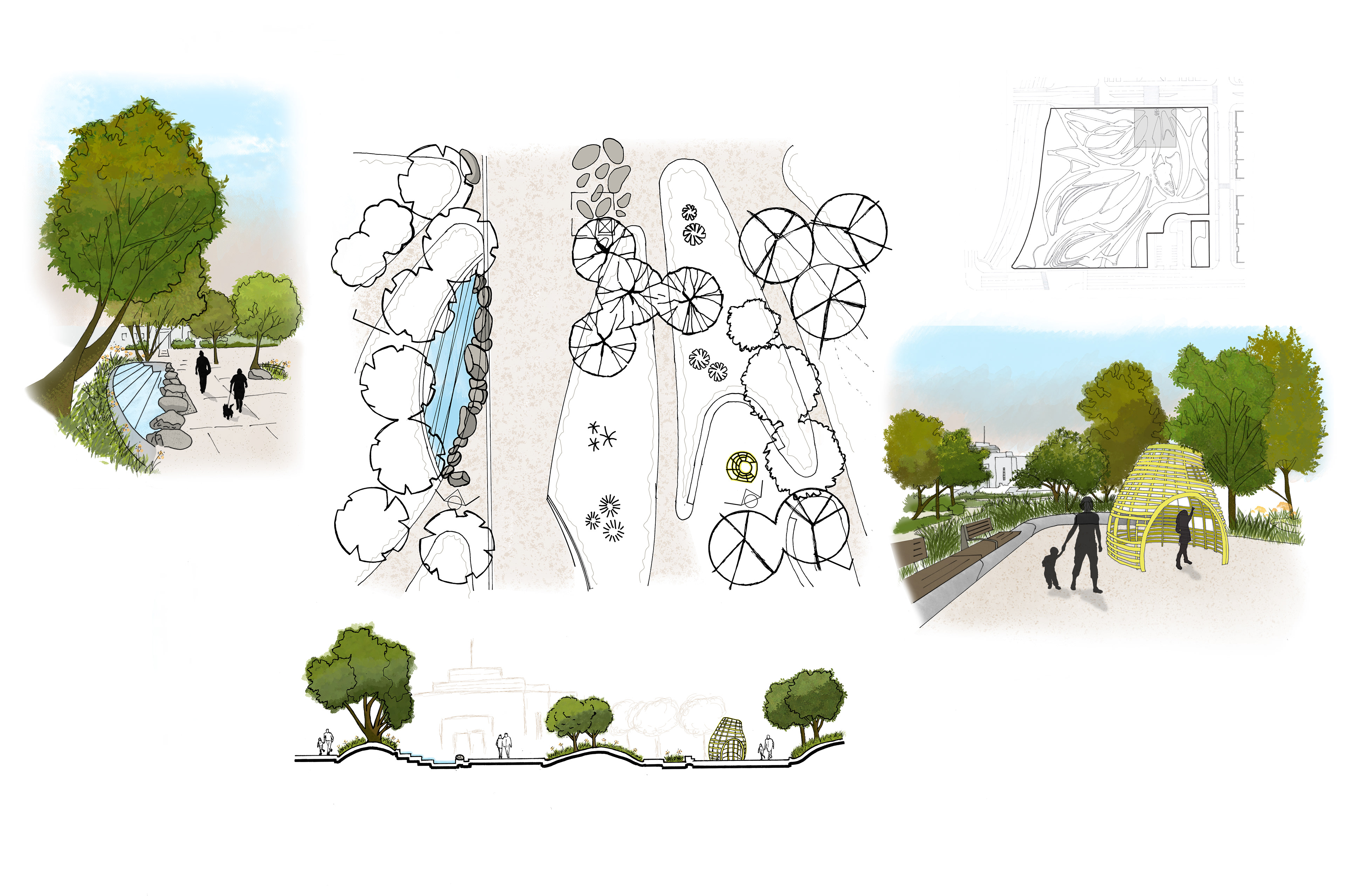 ENLARGEMENT, PERSPECTIVES AND SECTION ELEVATION