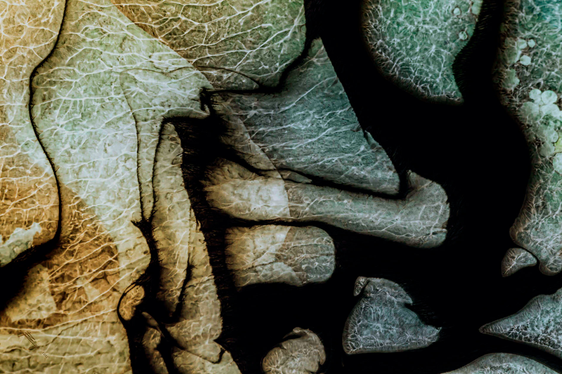 Trovant II.I - 2022 - Acryl - Abgelichtet - Fine Art Print auf Alu Dibond 90x60