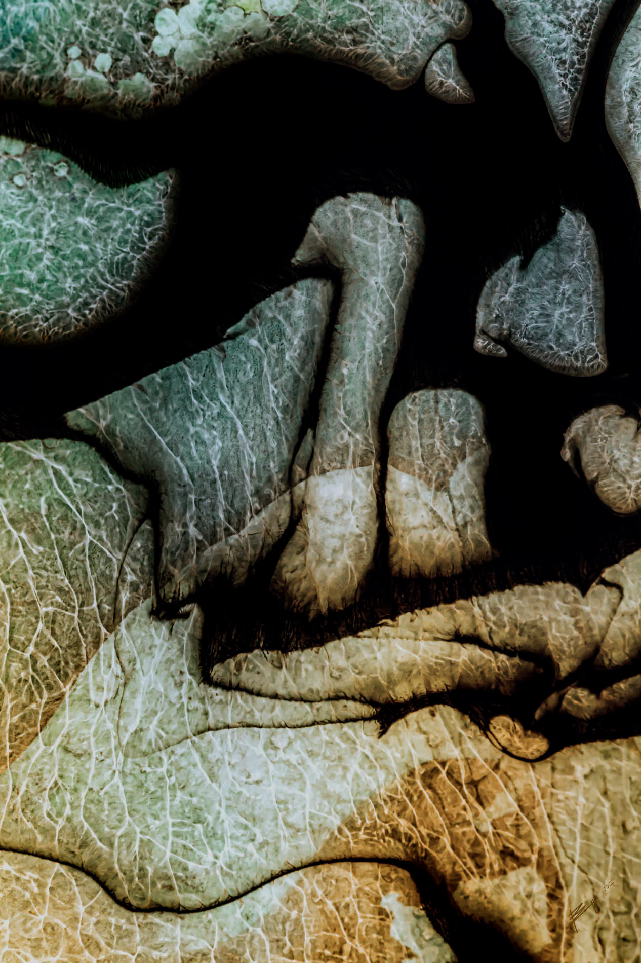 Trovant II - 2022 - Acryl - Abgelichtet - Fine Art Print auf Alu Dibond 60x90